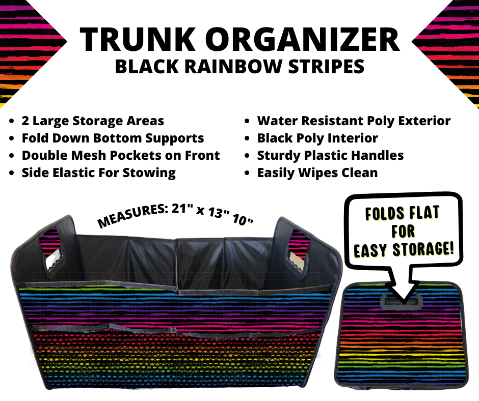 Preorder! Closes 3/10. ETA June. Black Rainbow Stripes Trunk Organizer