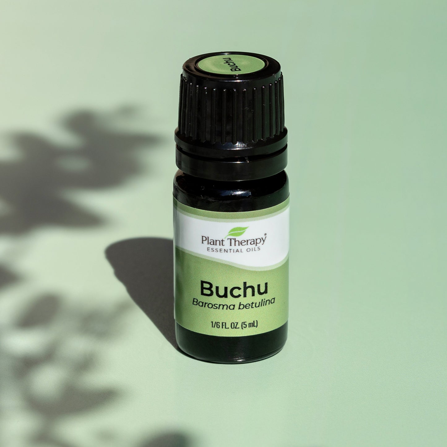 Buchu Essential Oil