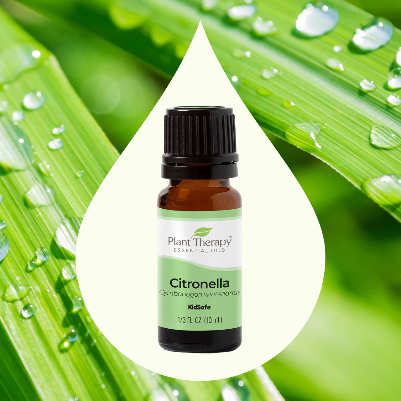 Citronella Essential Oil