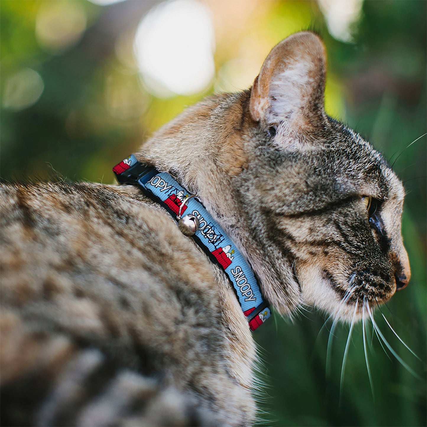 Breakaway Cat Collar with Bell - Peanuts Snoopy and Woodstock Dog House Pose and Text Sky Blue