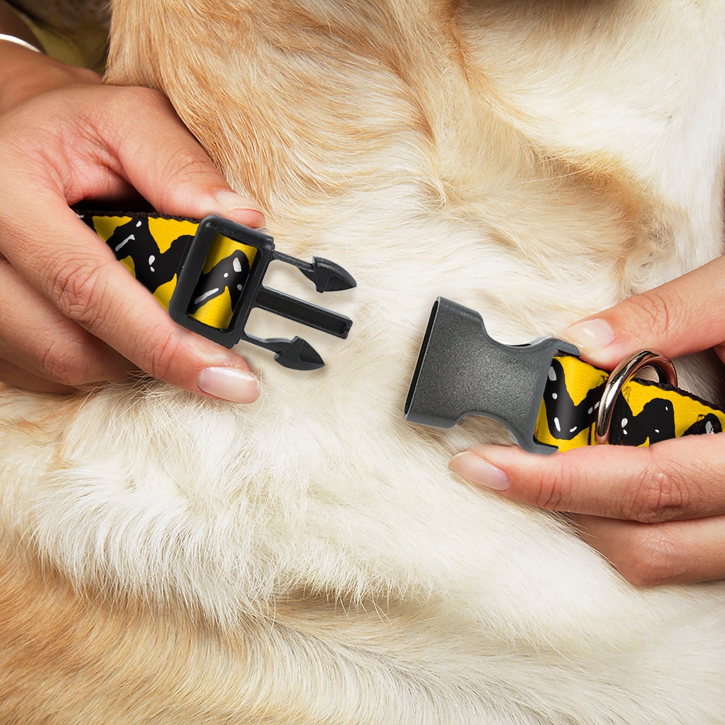 Plastic Clip Collar - Peanuts Charlie Brown Zig Zag Stripe Yellow/Black