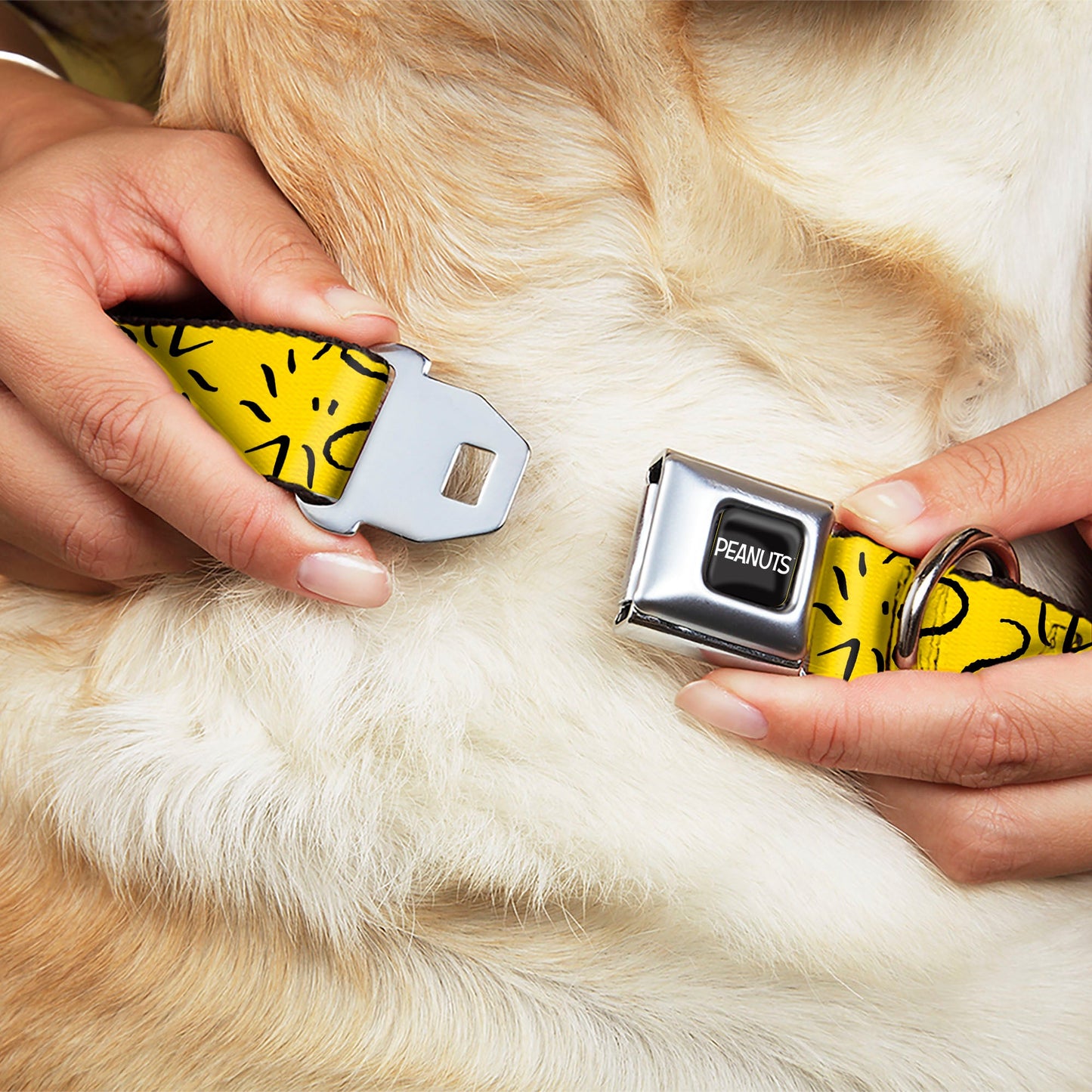 PEANUTS Title Logo Full Color Black/White Seatbelt Buckle Collar - Peanuts Woodstock Line Face Line Art Yellow/Black