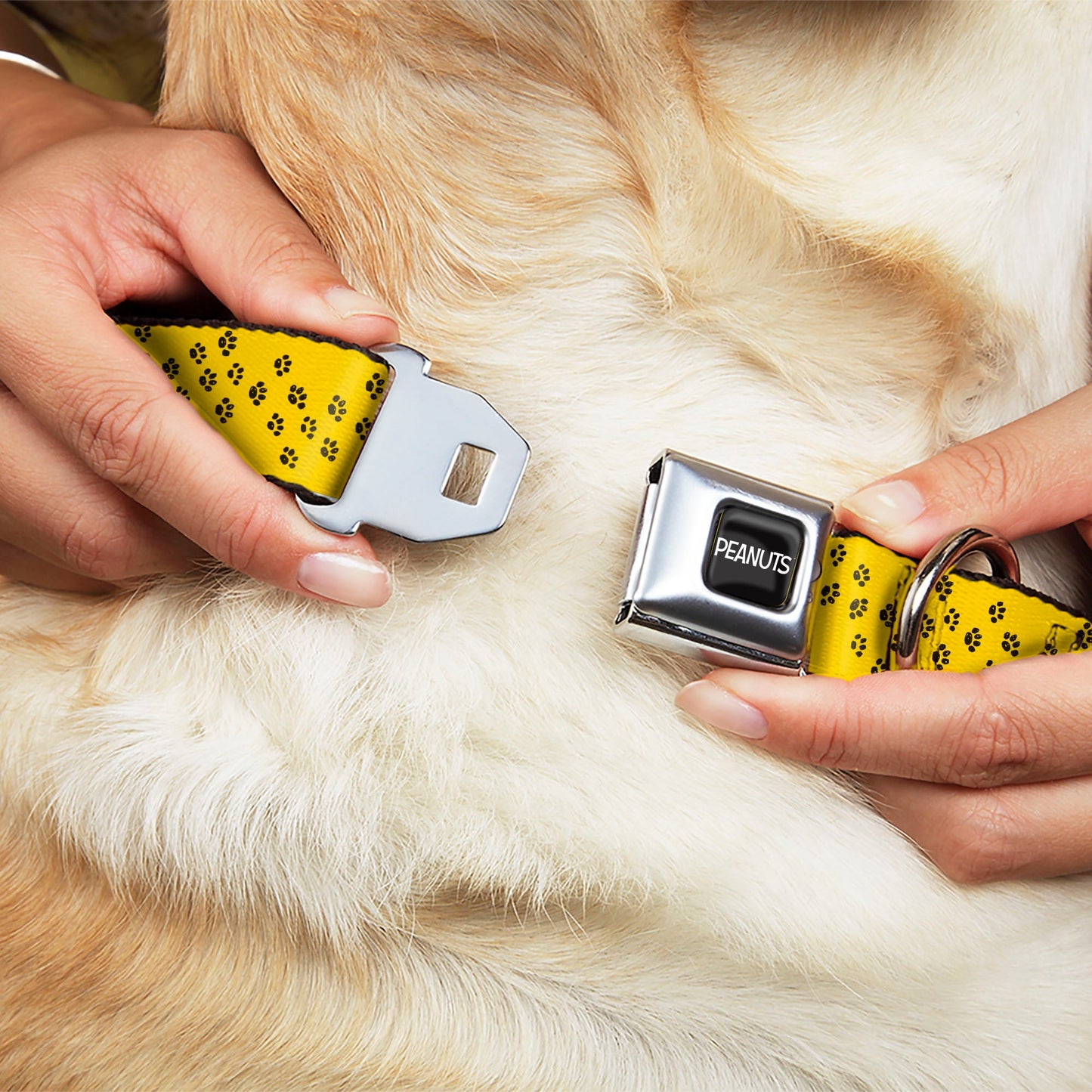 PEANUTS Title Logo Full Color Black/White Seatbelt Buckle Collar - Peanuts Snoopy Smiling Pose/Paw Print Yellow/Black/White