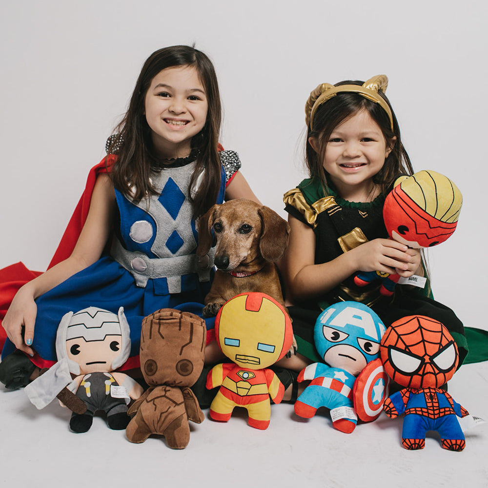 Dog Toy Squeaky Plush - Kawaii Captain Marvel Standing Pose