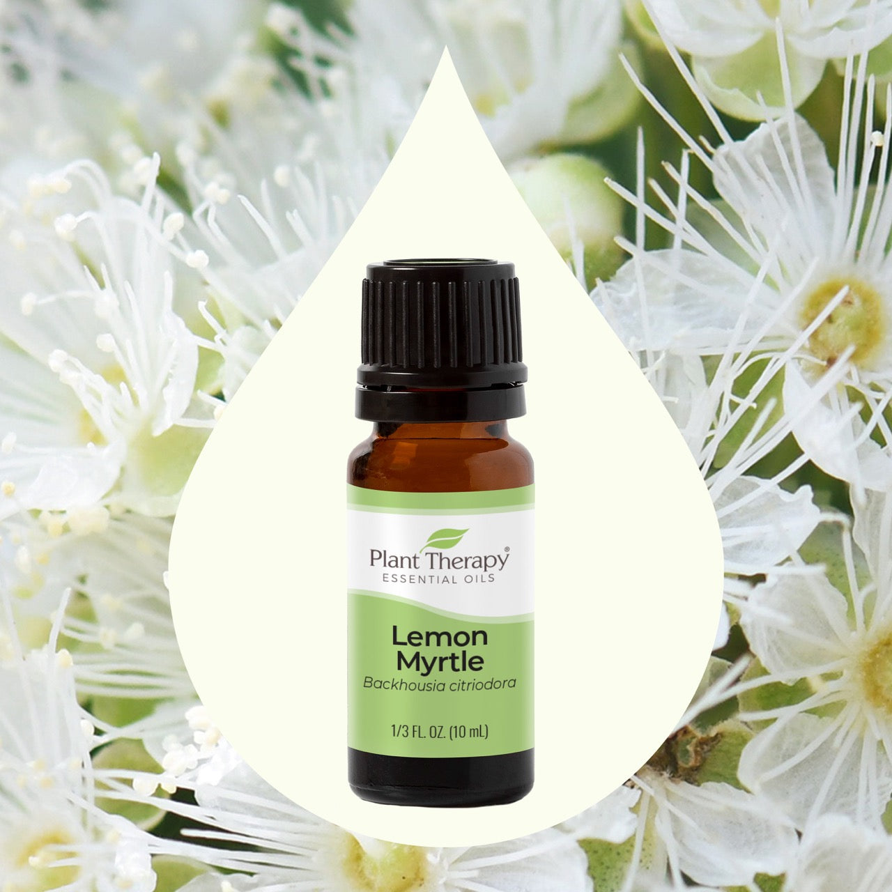 Lemon Myrtle Essential Oil