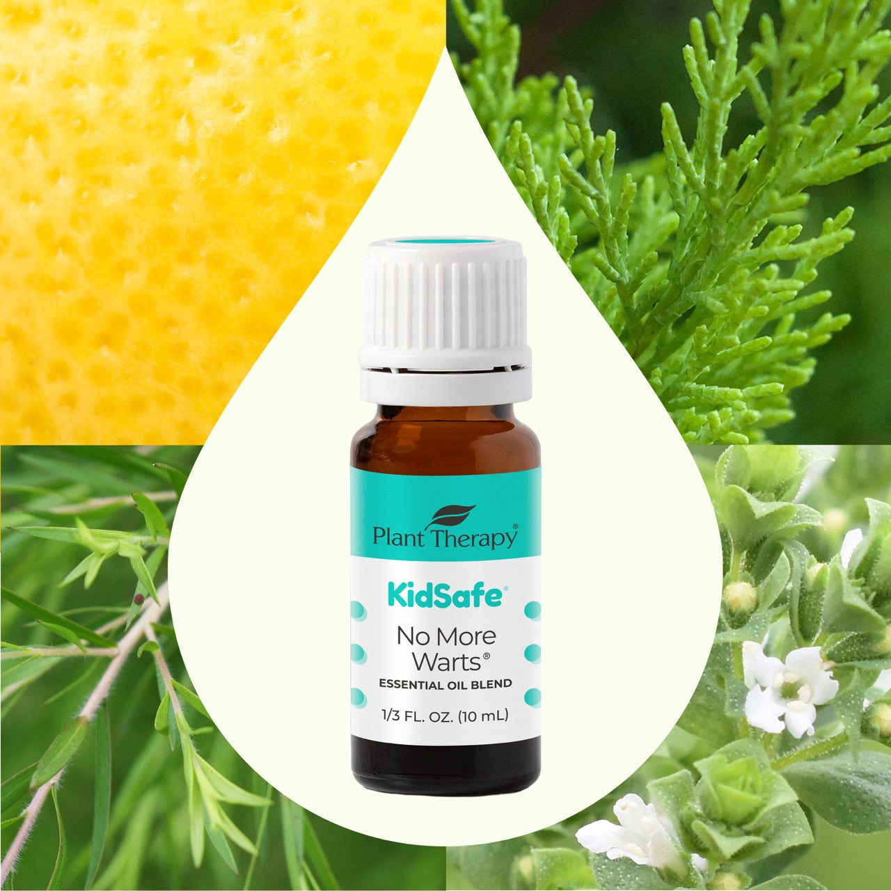 No More Warts KidSafe Essential Oil