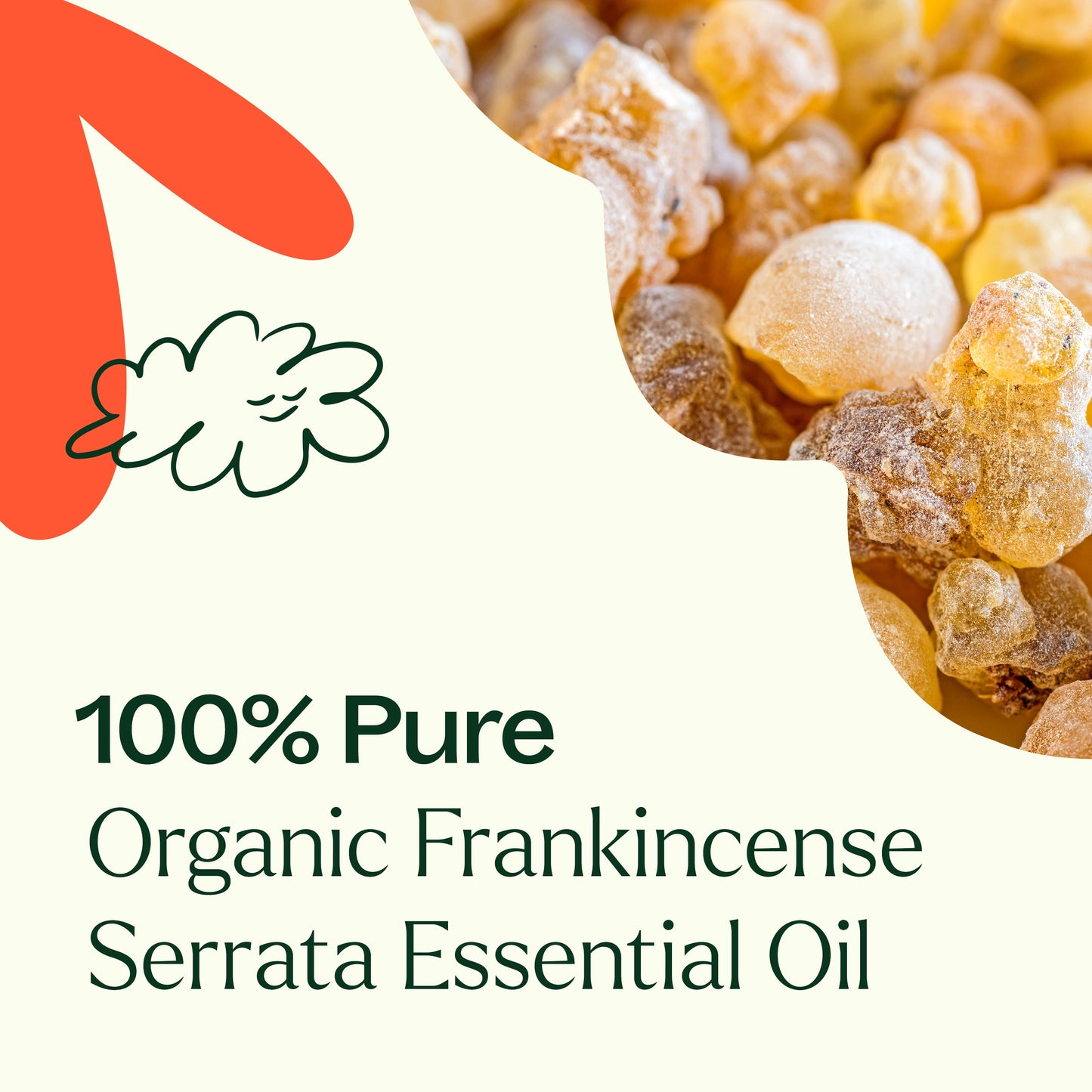 Organic Frankincense Serrata Essential Oil