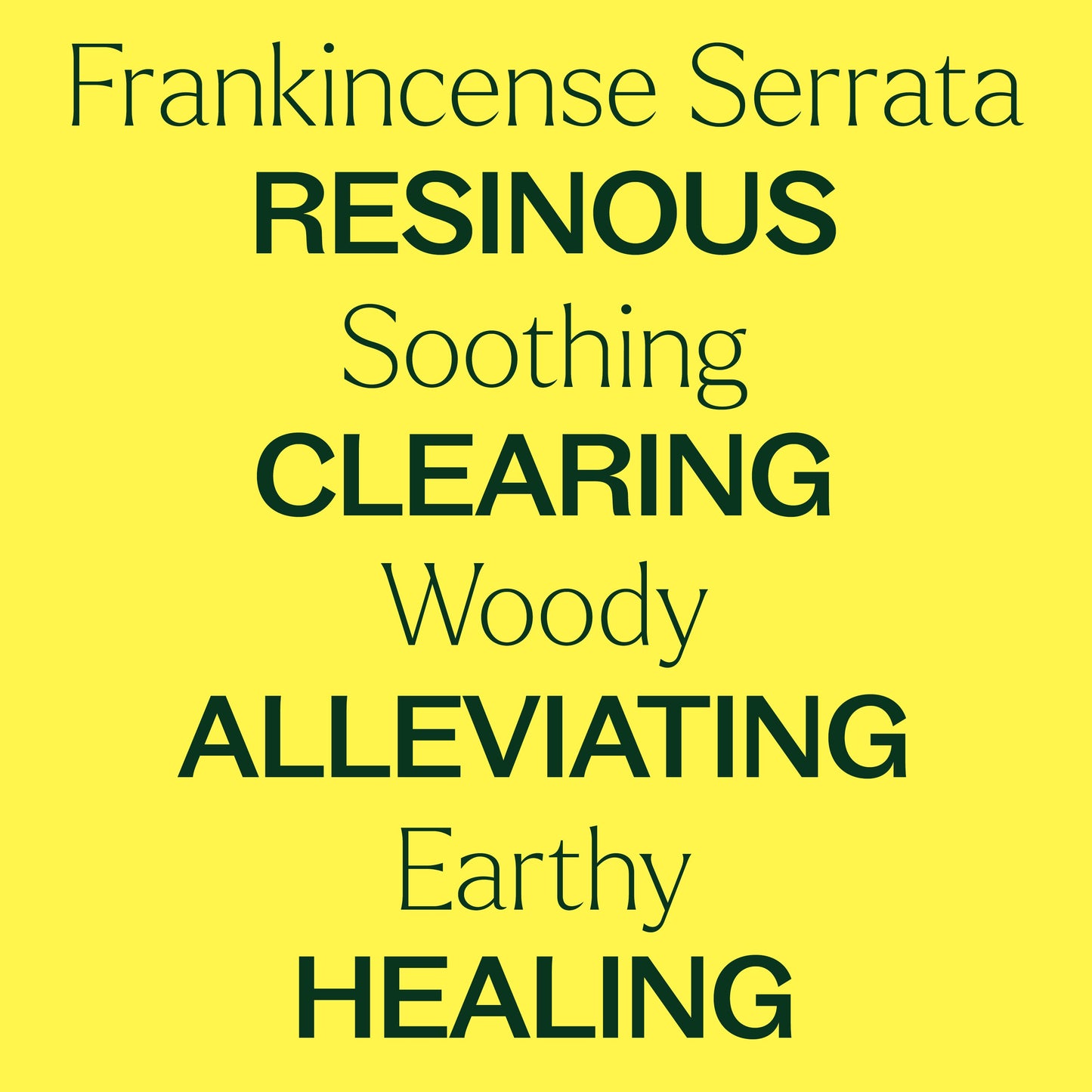 Organic Frankincense Serrata Essential Oil