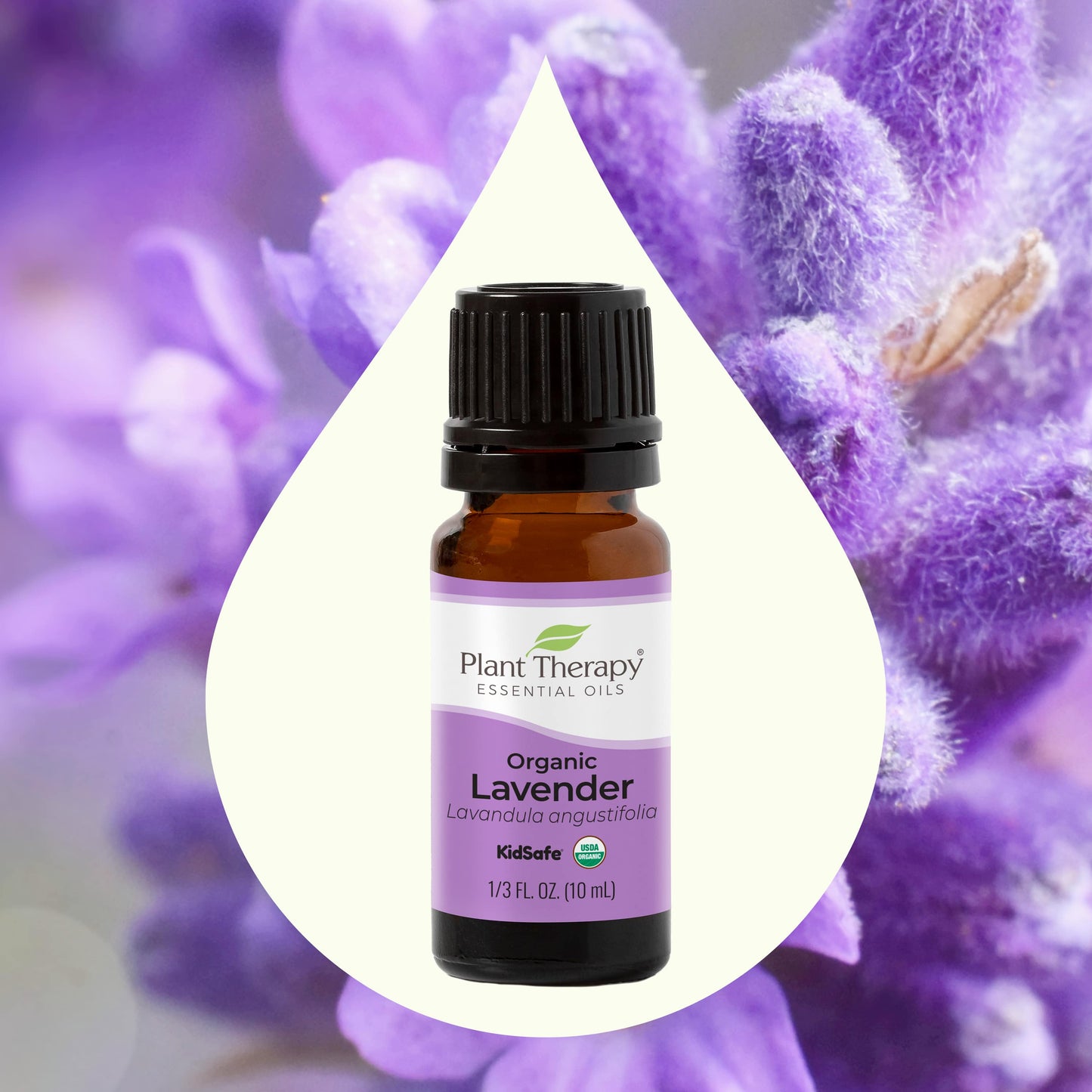 Organic Lavender Essential Oil