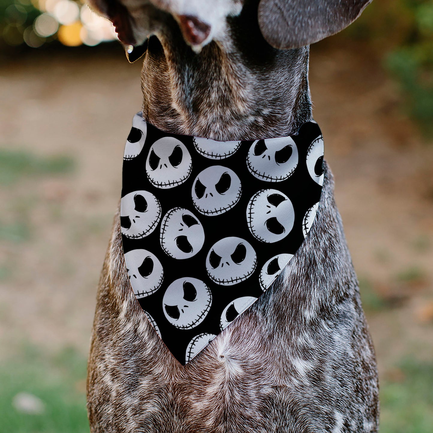 Pet Bandana - The Nightmare Before Christmas Jack Expressions Scattered Black/White