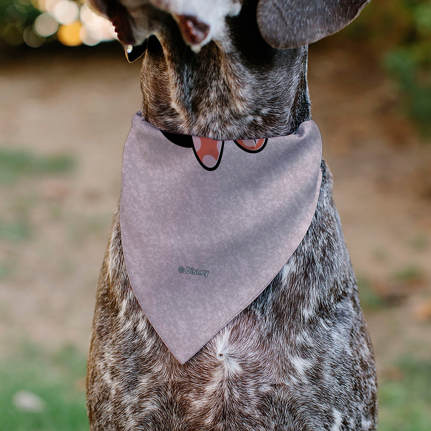 Pet Bandana - Minnie Mouse BE KIND Peace Pose Pinks