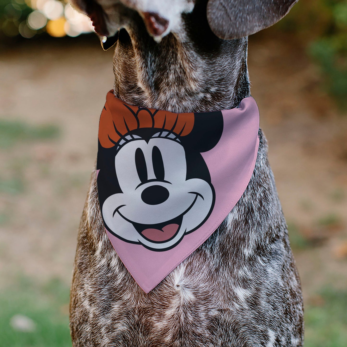 Pet Bandana - Minnie Mouse Smiling Face Close-Up Pink