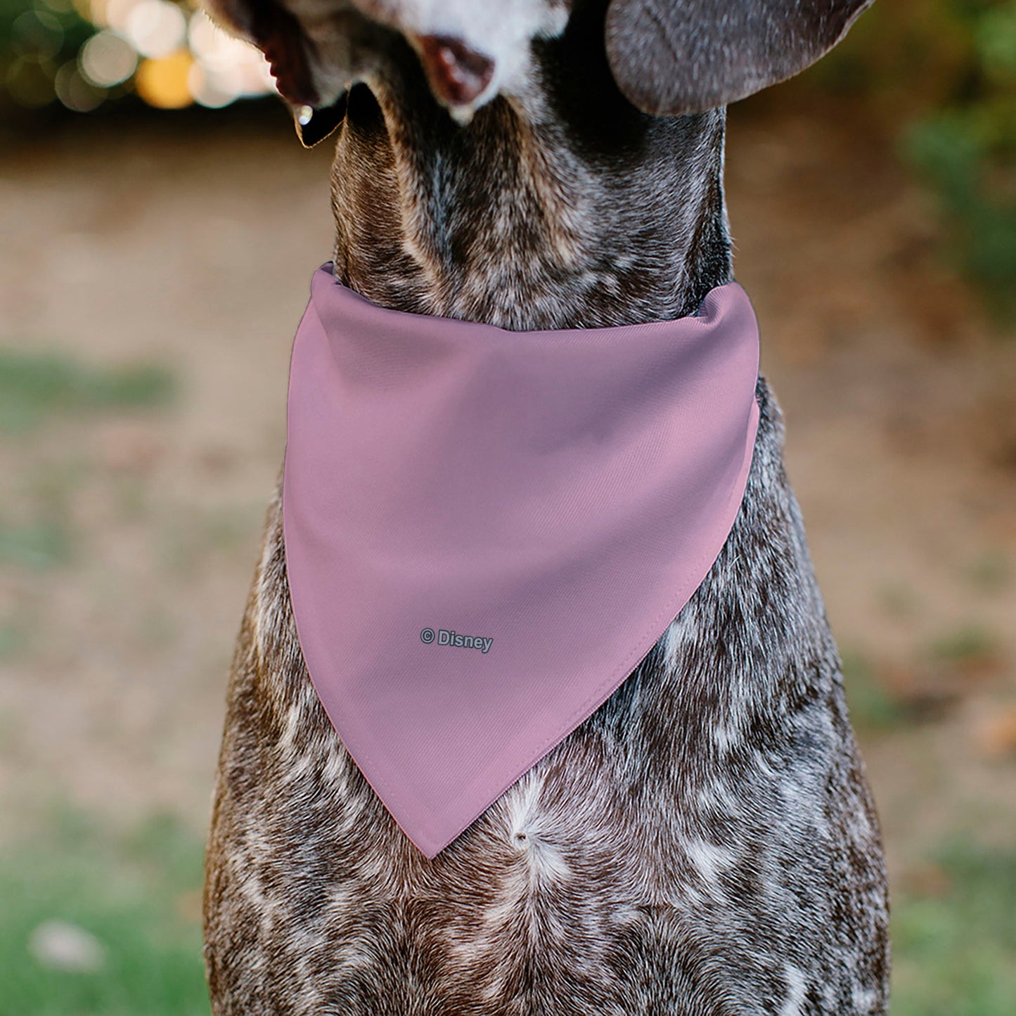 Pet Bandana - Minnie Mouse Smiling Face Close-Up Pink