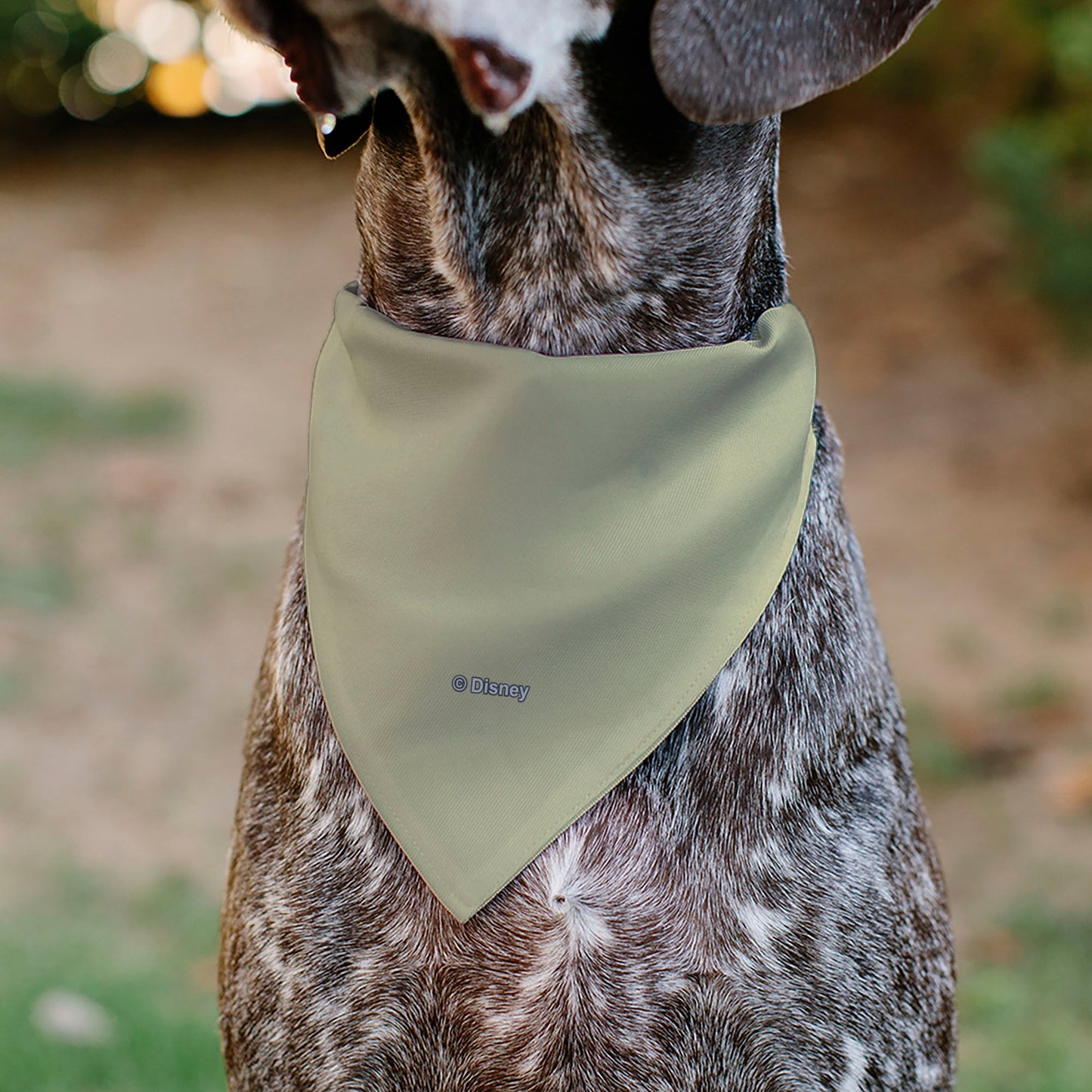 Pet Bandana - Rapunzel NEVER STOP EXPLORING Castle Pose Beige/Red/White