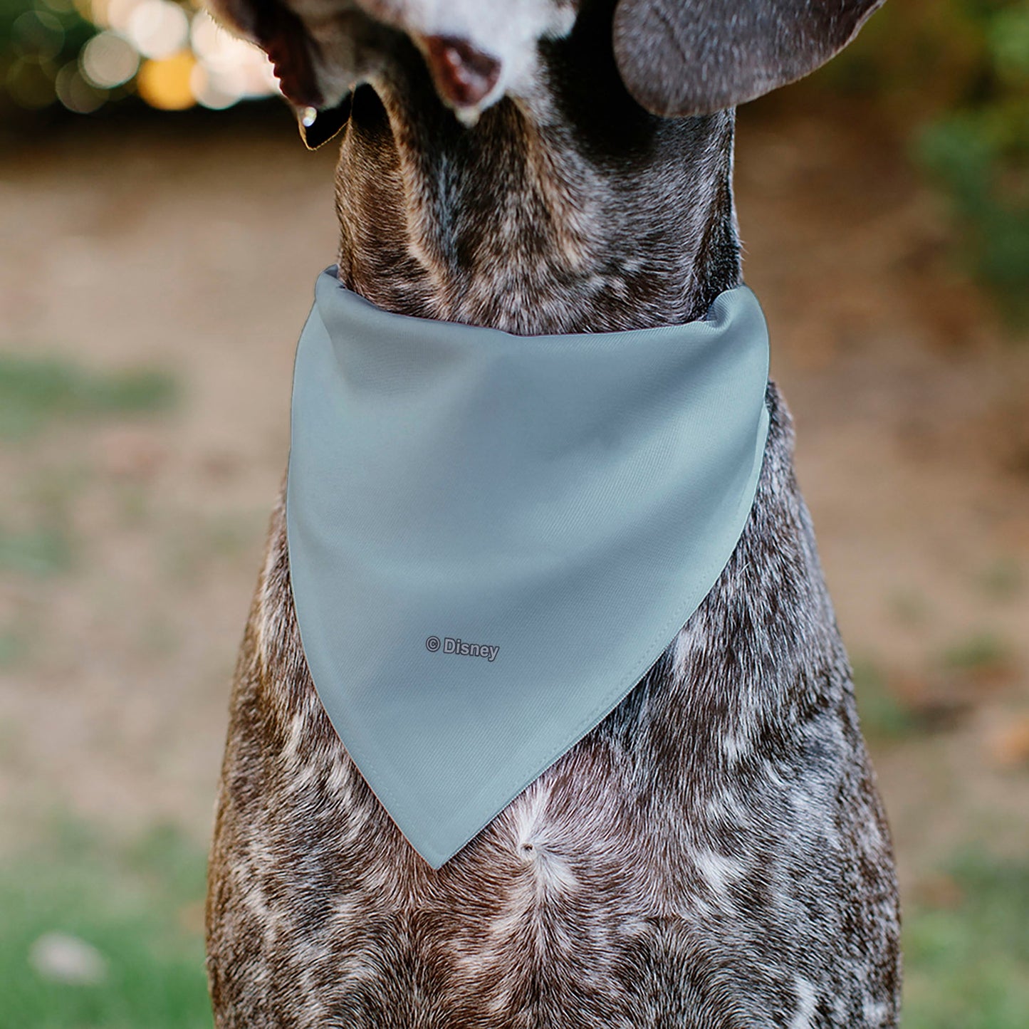 Pet Bandana - The Little Mermaid Ariel Face Close-Up Light Blue