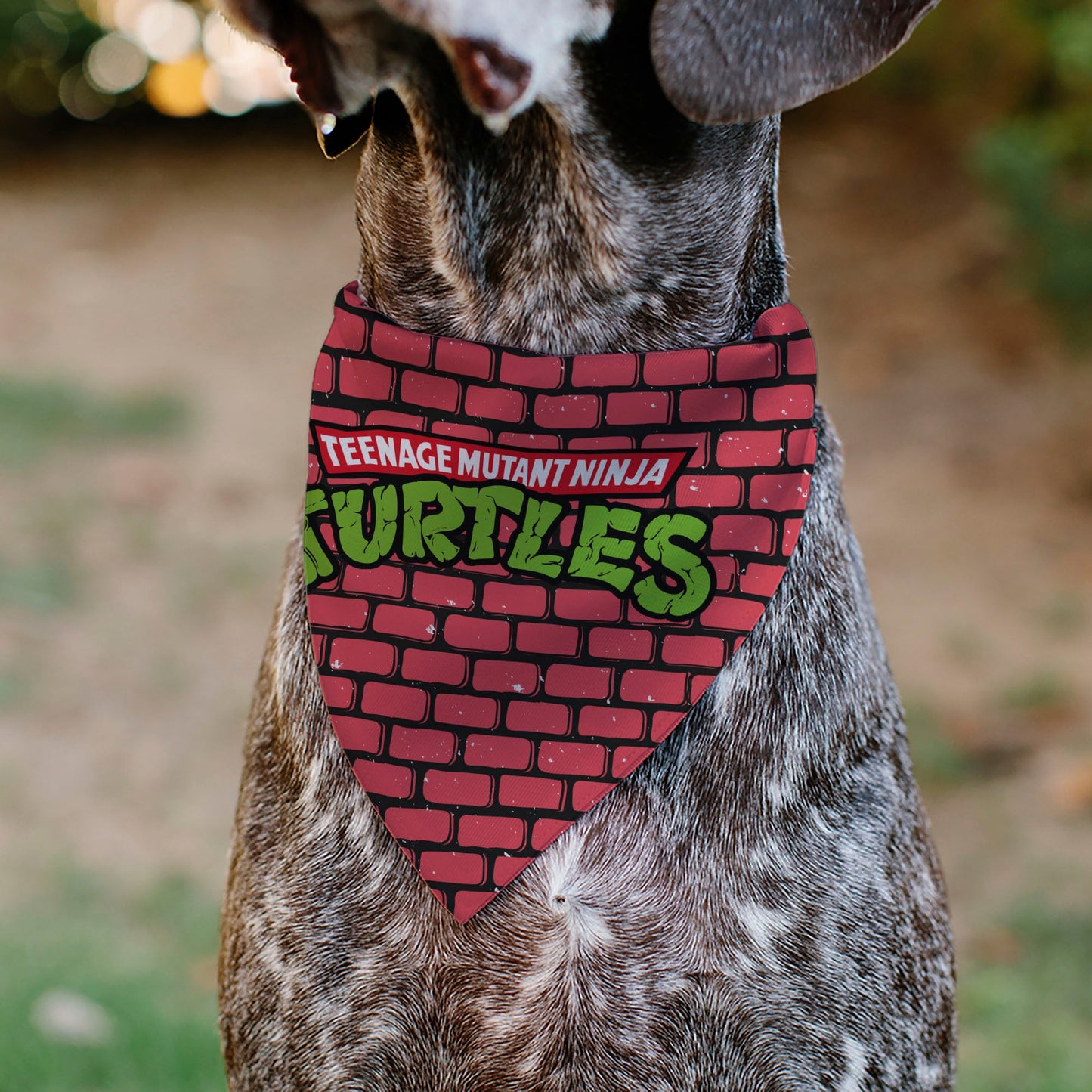 Pet Bandana - TEENAGE MUTANT NINJA TURTLES Brick Title Logo