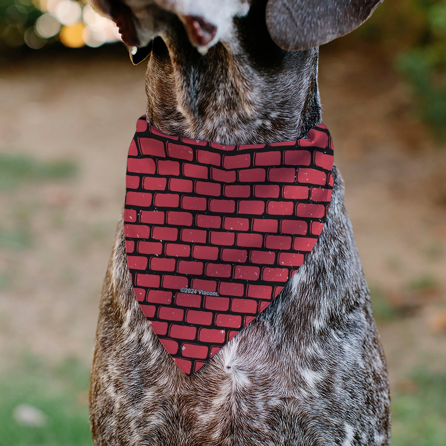 Pet Bandana - TEENAGE MUTANT NINJA TURTLES Brick Title Logo