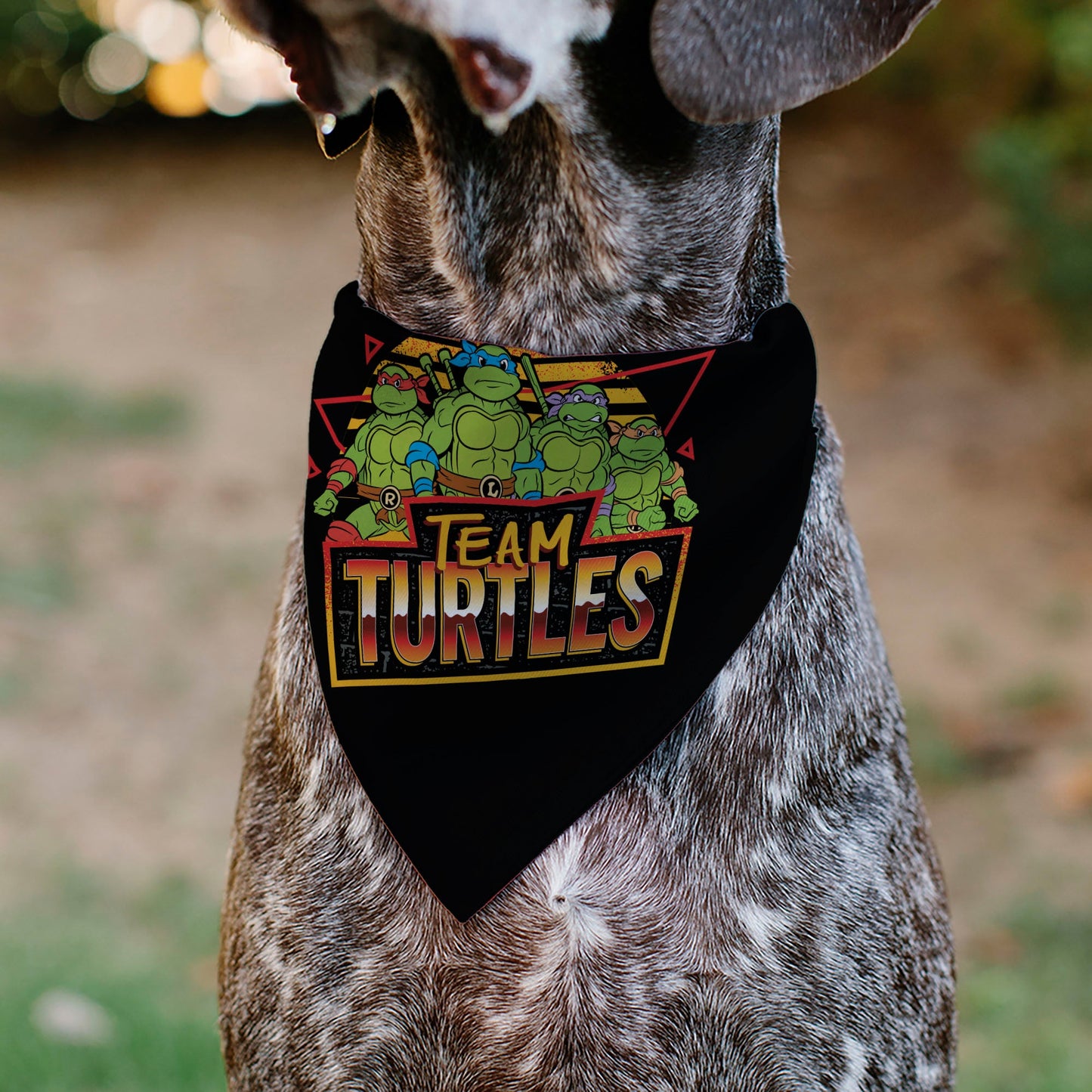 Pet Bandana - Teenage Mutant Ninja Turtles TEAM TURTLES Group Pose Black/Red