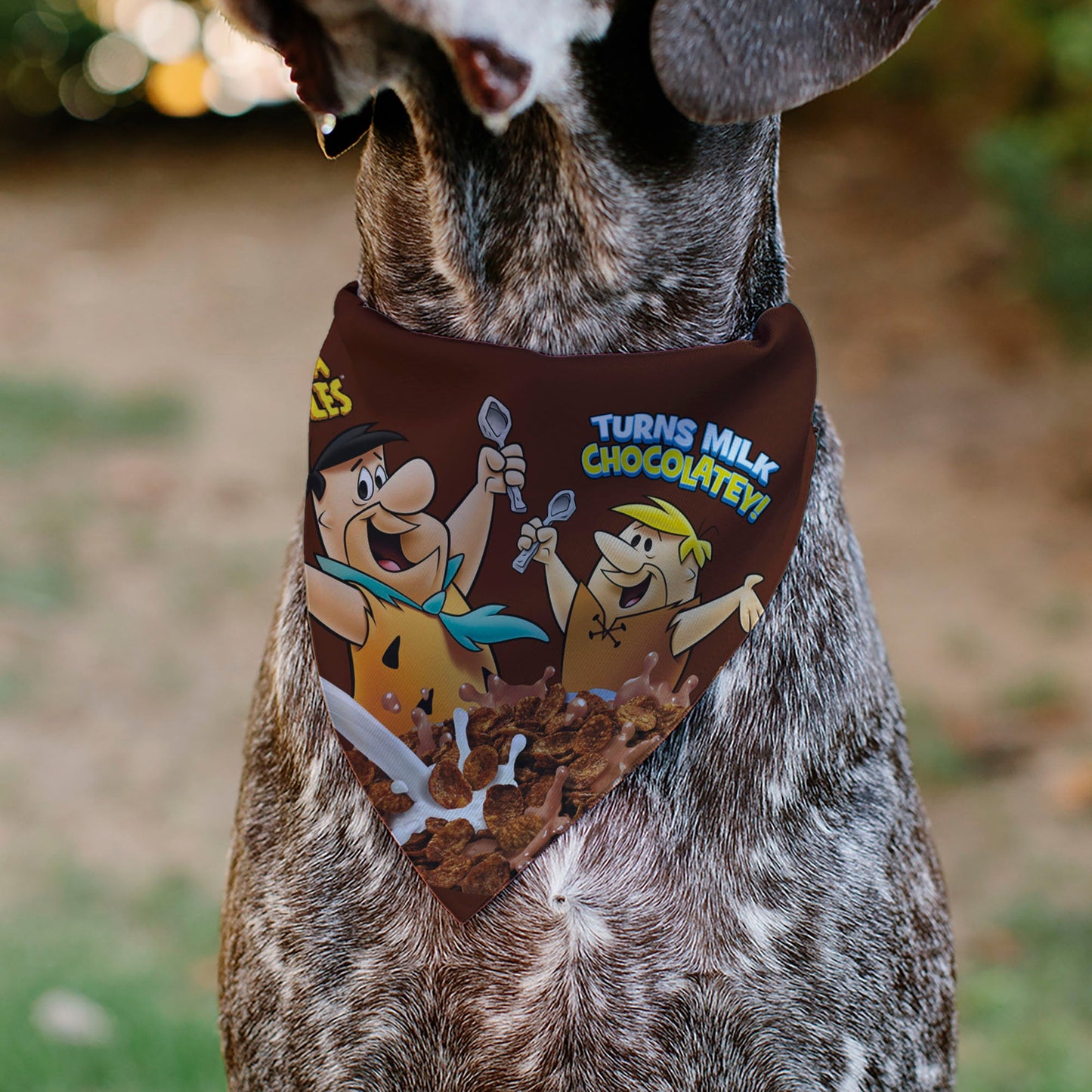 Pet Bandana - COCOA PEBBLES Fred Flintstone and Barney Rubble Cereal Box Print and Vivid Cereal Brown