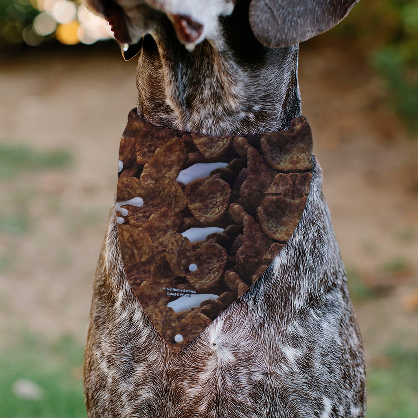 Pet Bandana - COCOA PEBBLES Fred Flintstone and Barney Rubble Cereal Box Print and Vivid Cereal Brown