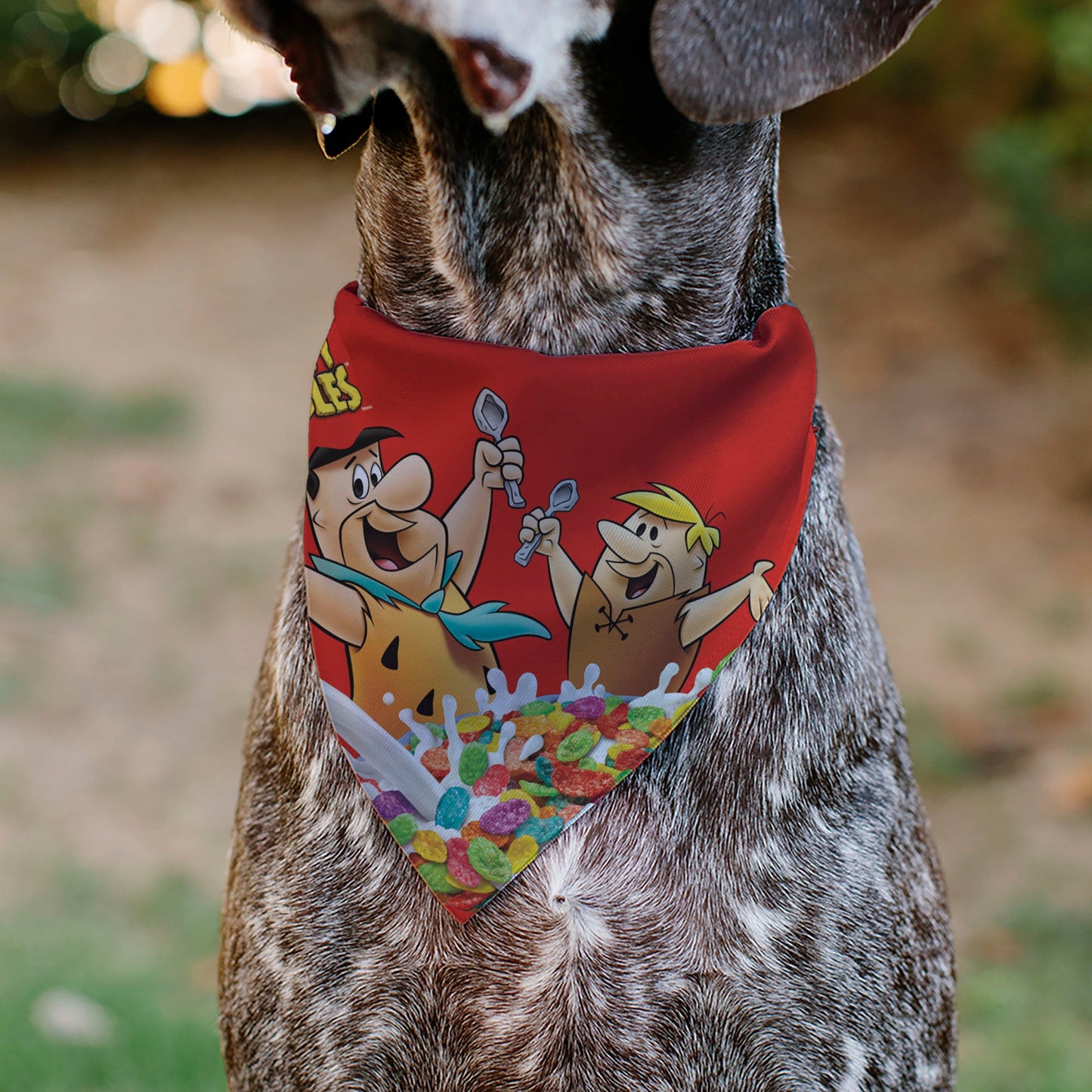 Pet Bandana - FRUITY PEBBLES Fred Flintstone and Barney Rubble Cereal Box Print and Vivid Cereal Multi Color