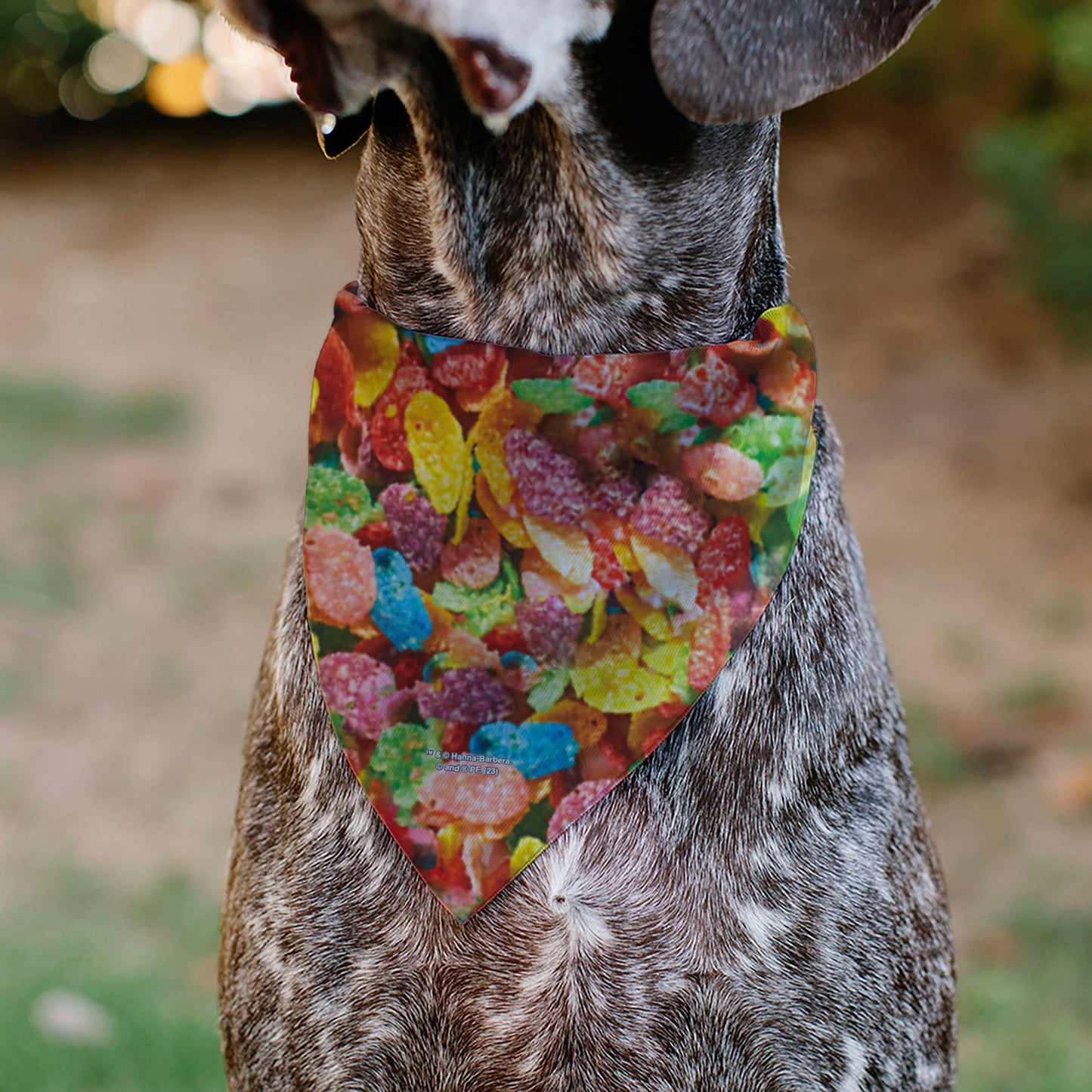 Pet Bandana - FRUITY PEBBLES Fred Flintstone and Barney Rubble Cereal Box Print and Vivid Cereal Multi Color