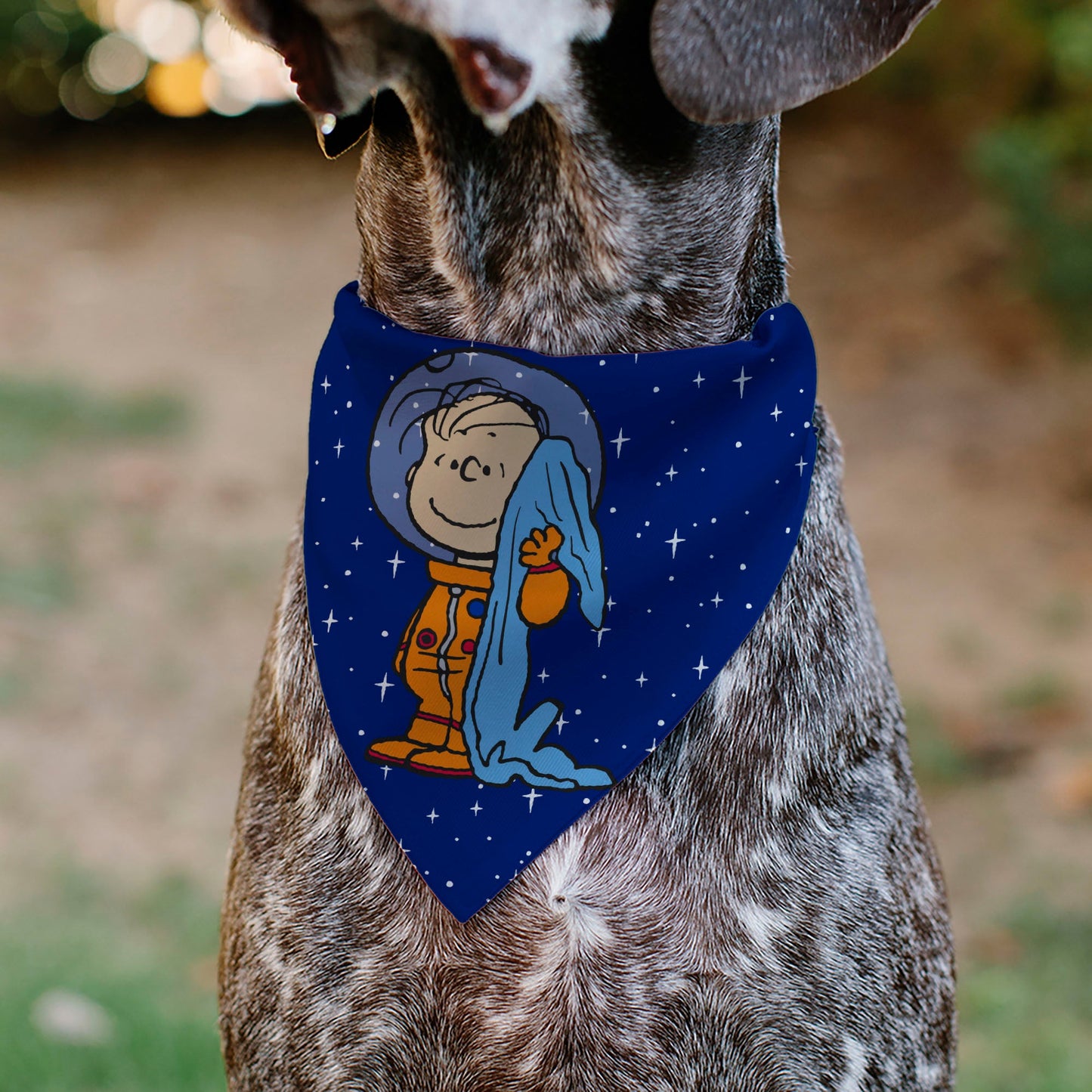 Pet Bandana - Peanuts Astronaut Linus Security Blanket Space Pose Blue