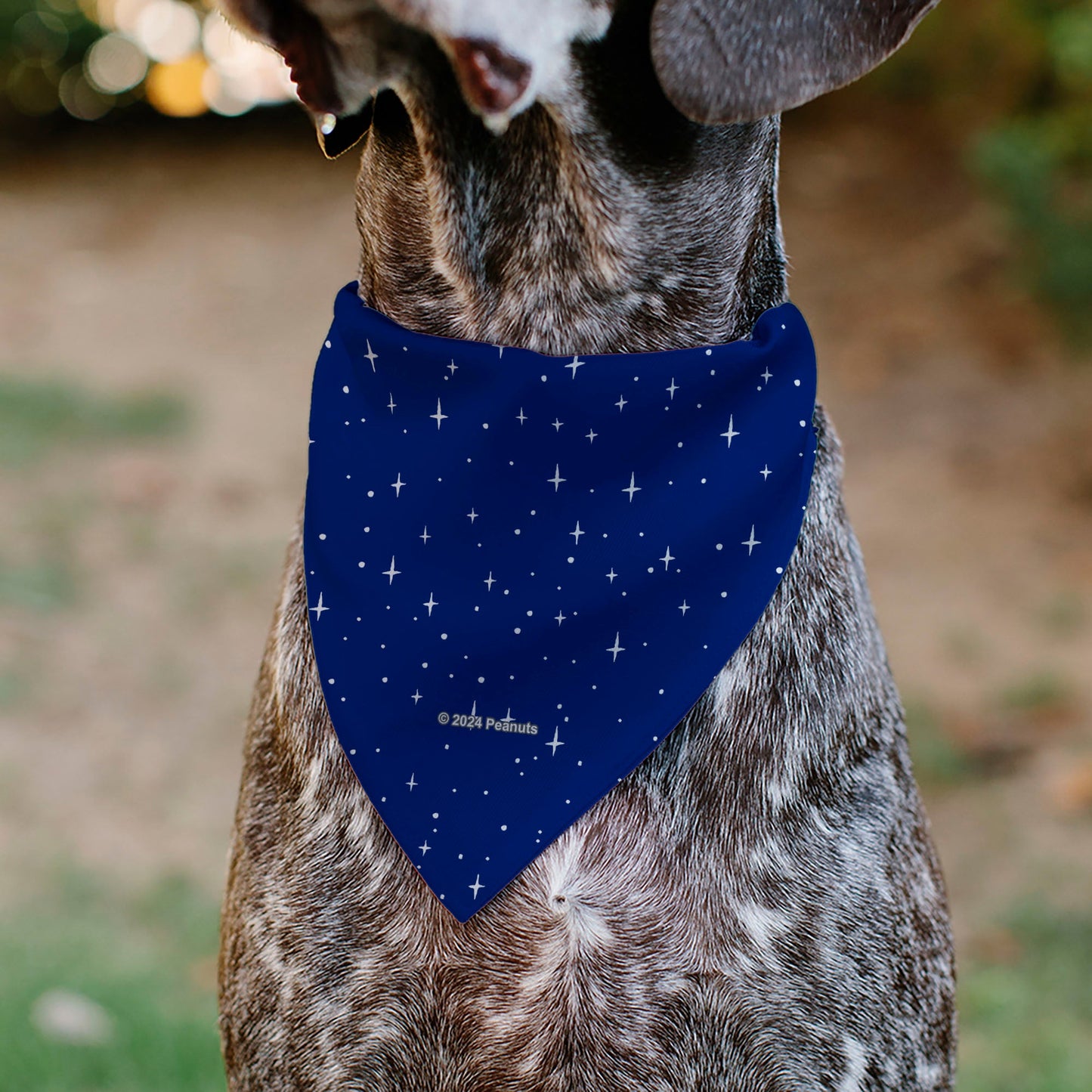 Pet Bandana - Peanuts Astronaut Linus Security Blanket Space Pose Blue