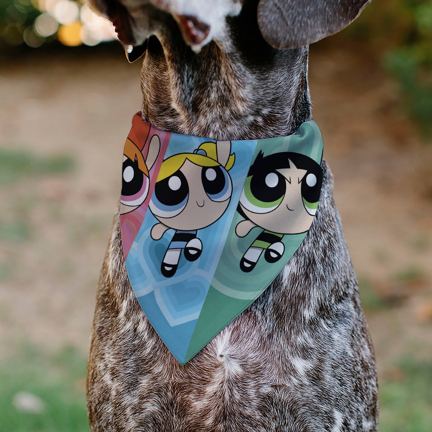 Pet Bandana - The Powerpuff Girls Flight Pose Pinks/Blues/Greens