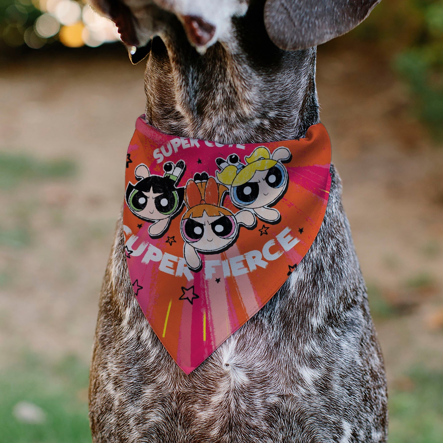 Pet Bandana - Powerpuff Girls SUPER CUTE SUPER FIERCE Group Pose Pinks