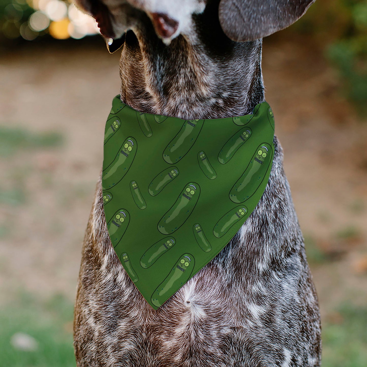 Pet Bandana - Rick and Morty Pickle Rick Pose Scattered Greens