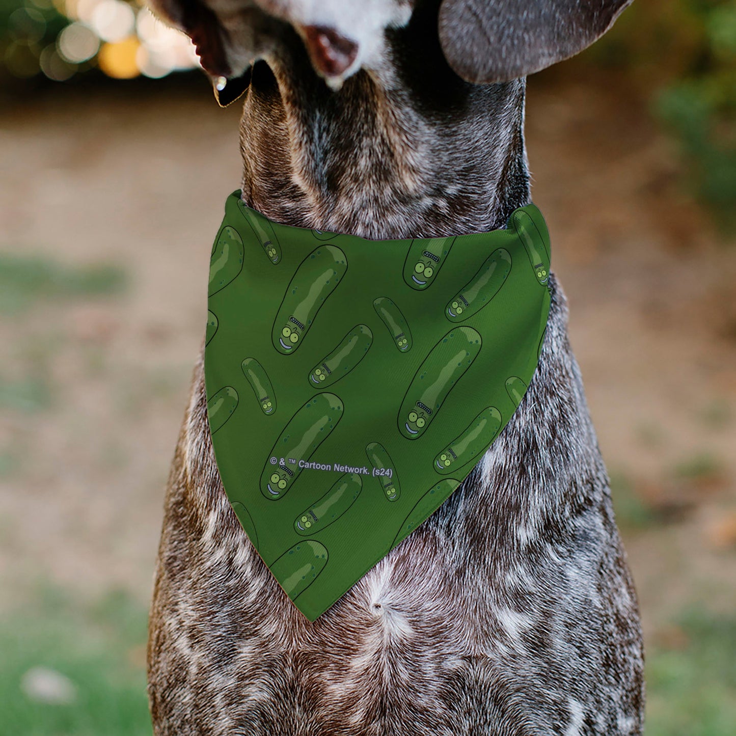 Pet Bandana - Rick and Morty Pickle Rick Pose Scattered Greens