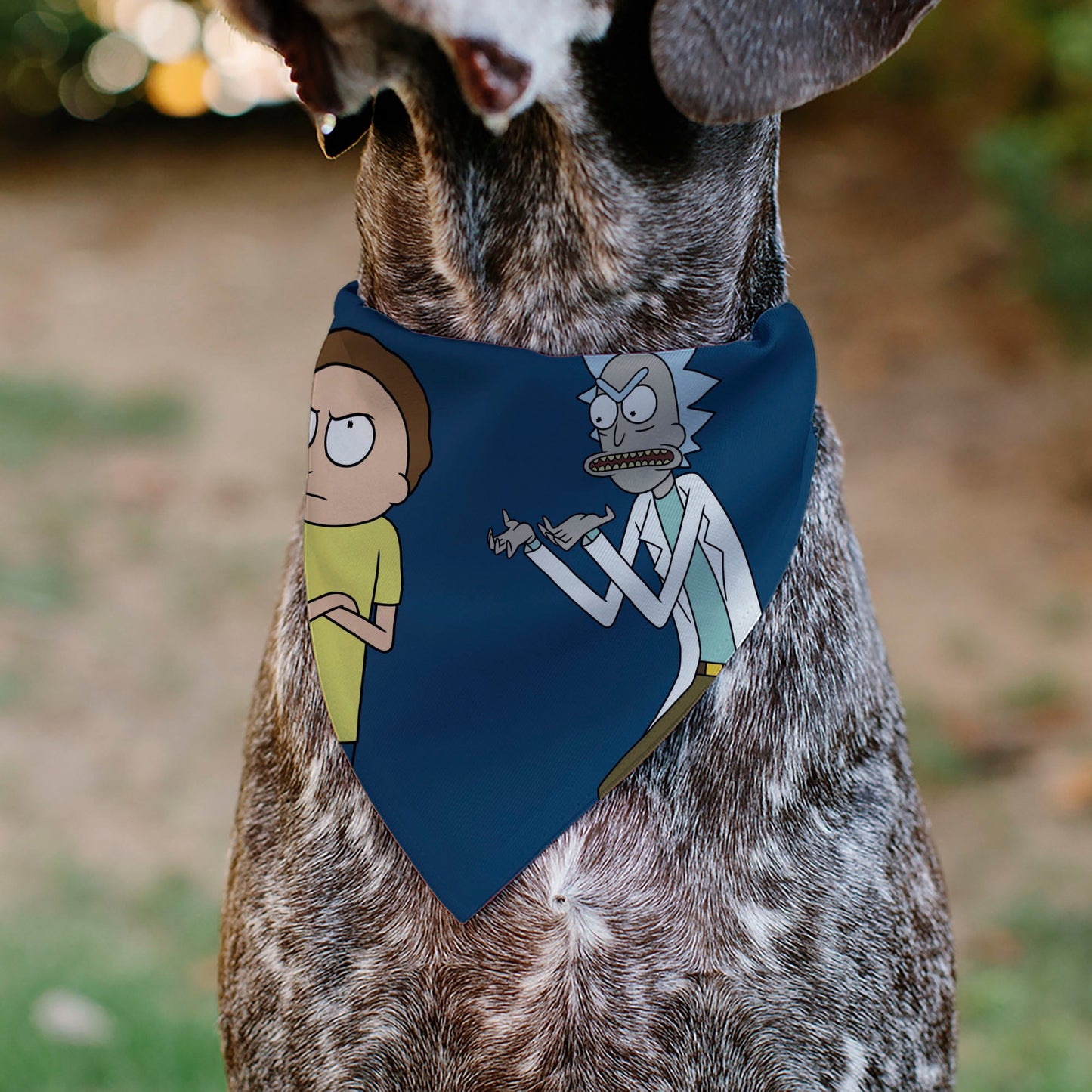 Pet Bandana - Rick and Morty Arms Crossed Pose Blue