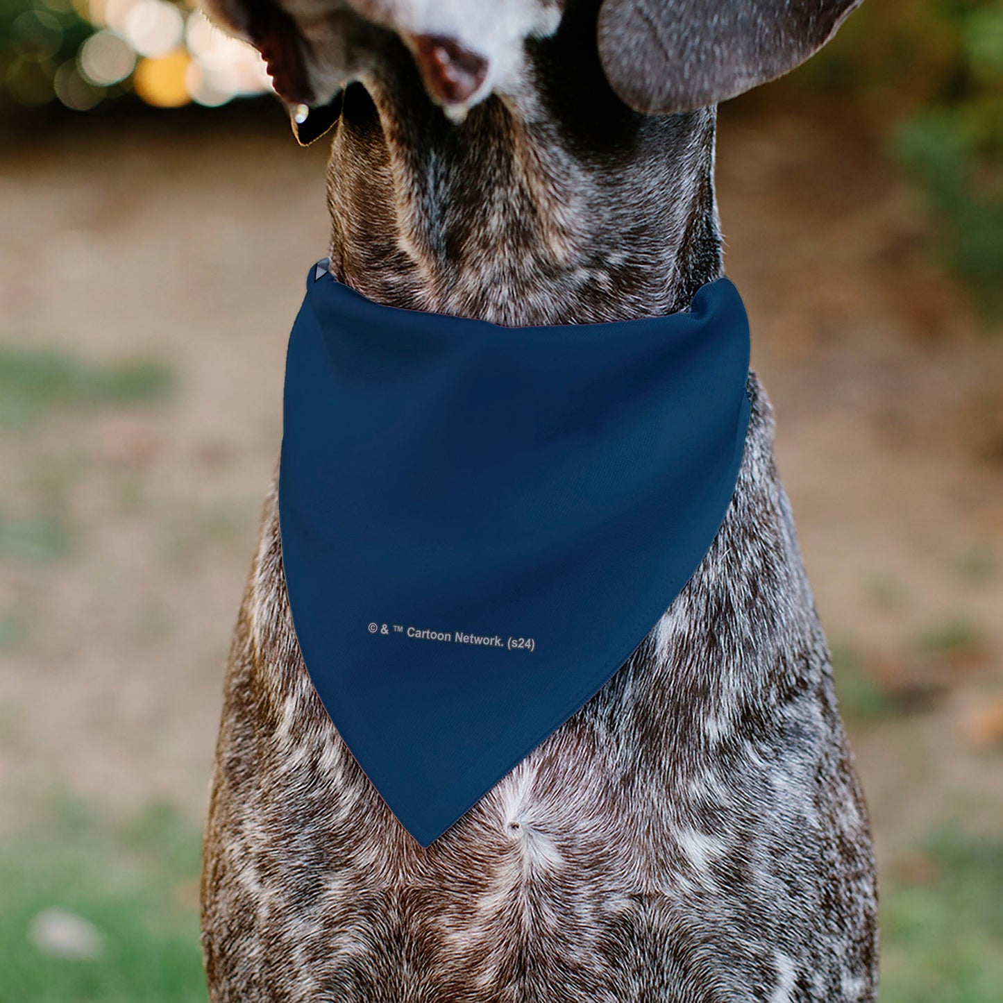 Pet Bandana - Rick and Morty Arms Crossed Pose Blue