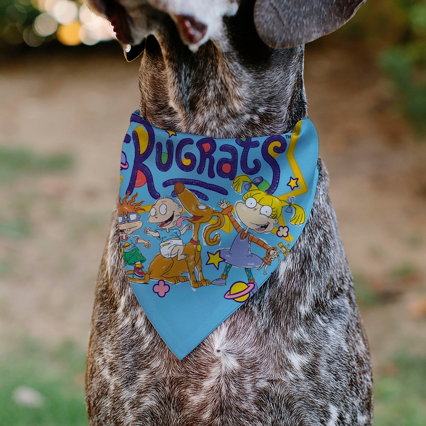 Pet Bandana - RUGRATS Four Character Group Pose and Title Logo Light Blue