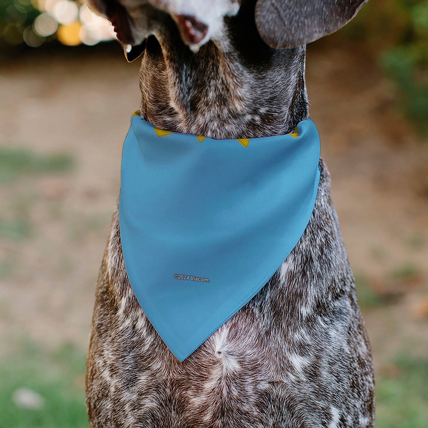 Pet Bandana - RUGRATS Four Character Group Pose and Title Logo Light Blue