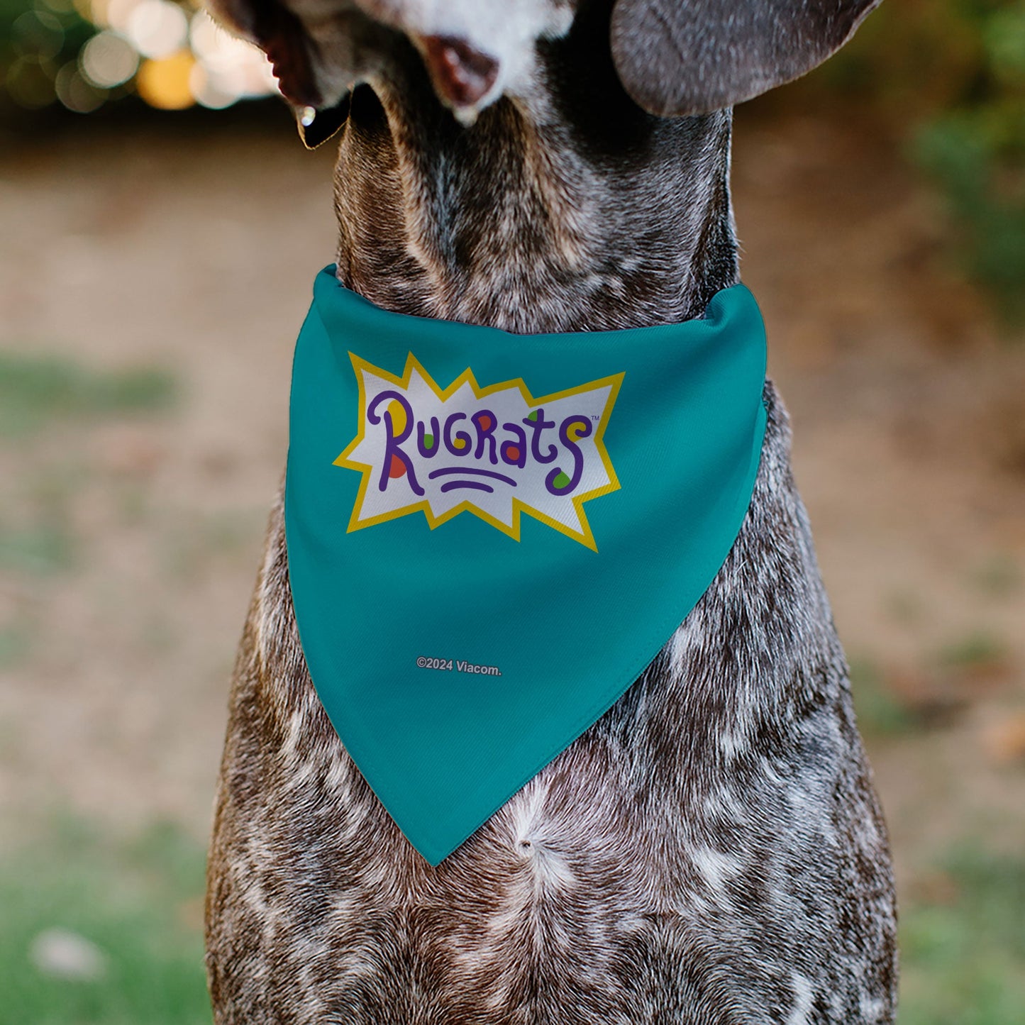 Pet Bandana - Rugrats Kids Group Pose and Title Logo Blue