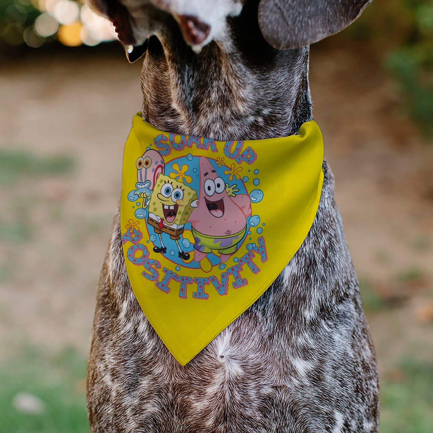 Pet Bandana - SpongeBob SquarePants and Friends SOAK UP POSITIVITY Pose Yellow