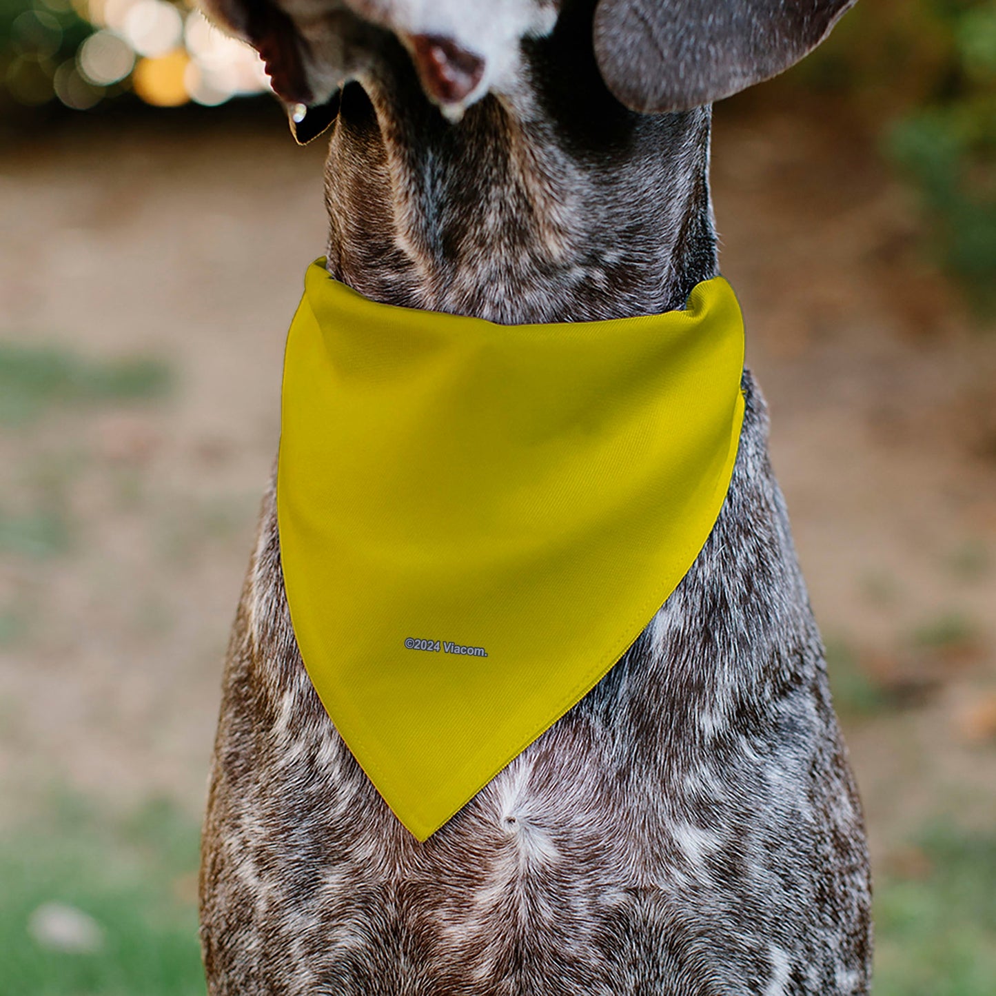 Pet Bandana - SpongeBob SquarePants and Friends SOAK UP POSITIVITY Pose Yellow