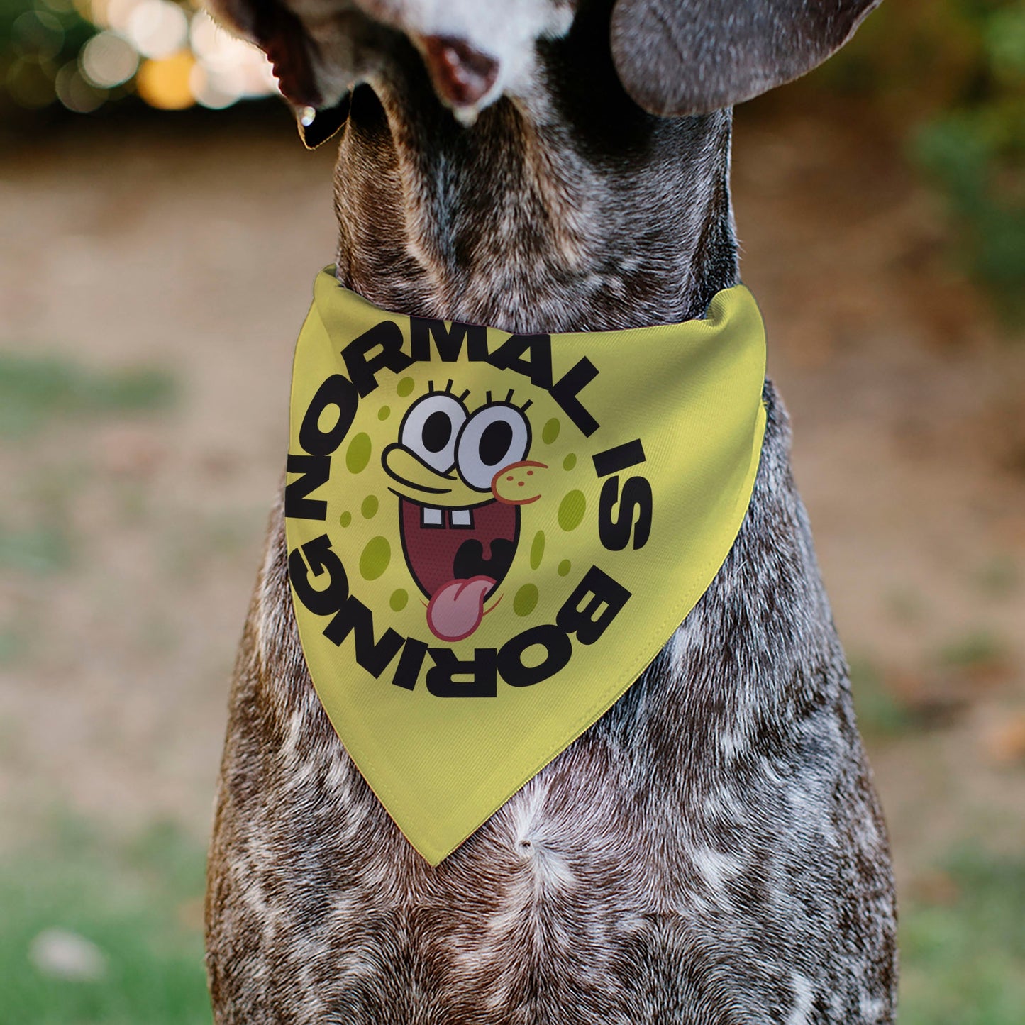 Pet Bandana - SpongeBob SquarePants NORMAL IS BORING Pose Yellows