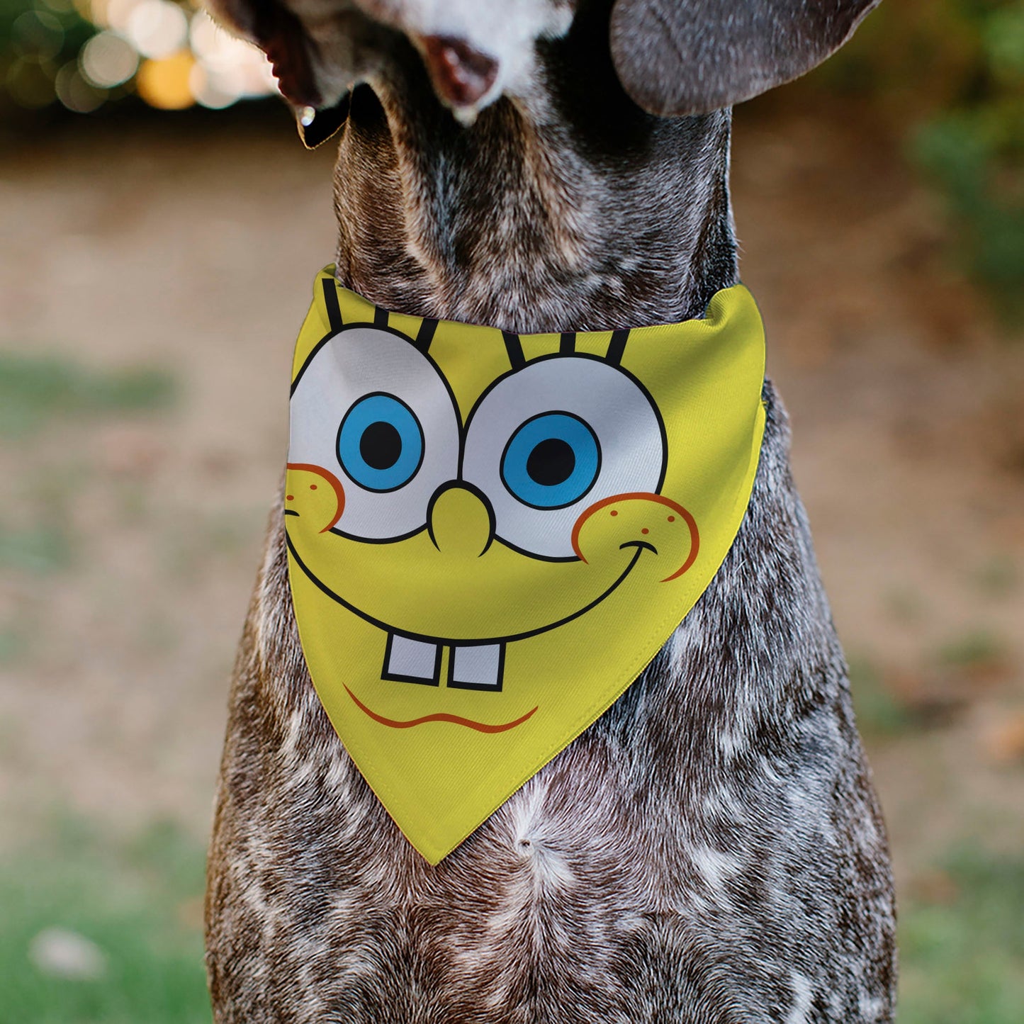 Pet Bandana - SpongeBob SquarePants Face Close-Up Yellow