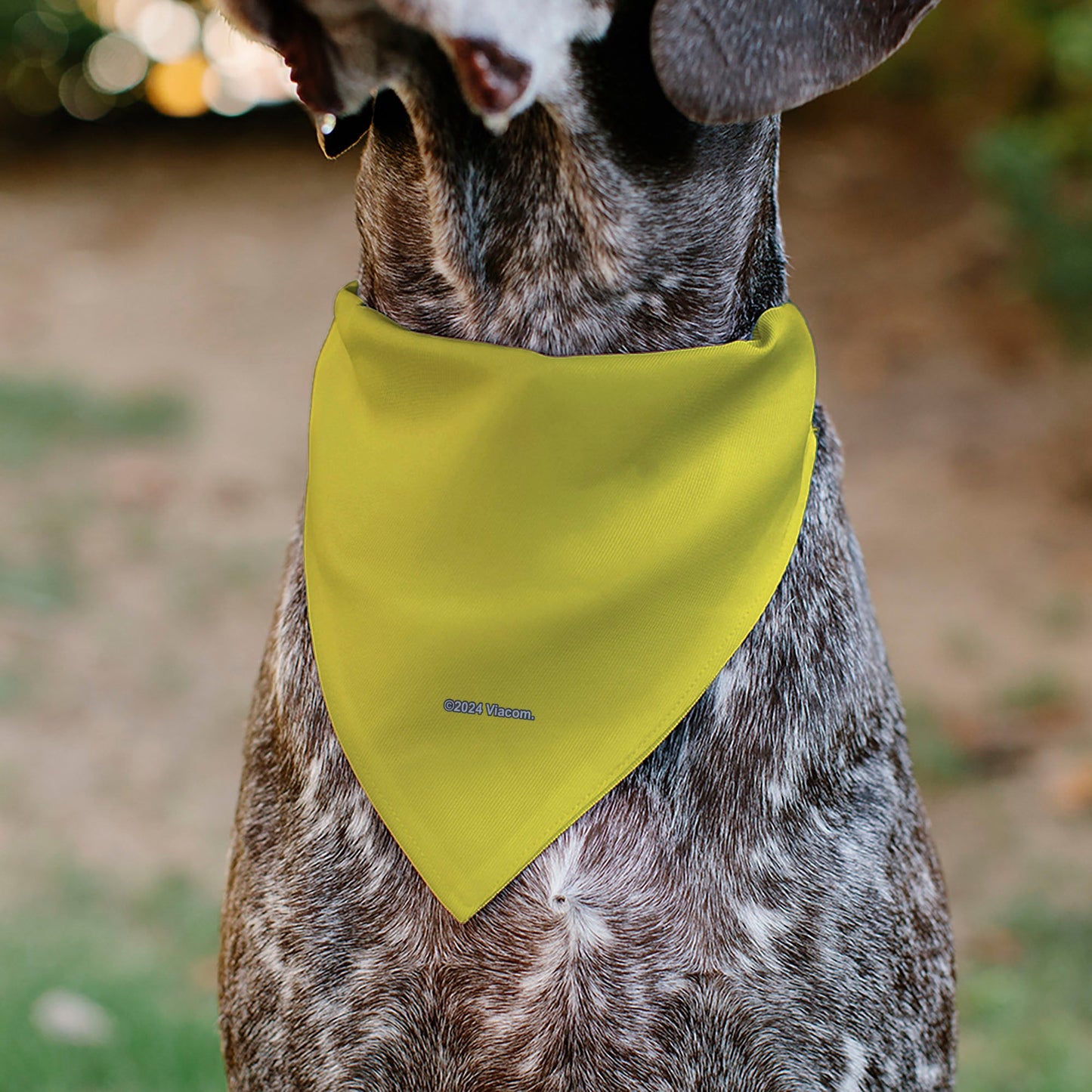 Pet Bandana - SpongeBob SquarePants Face Close-Up Yellow