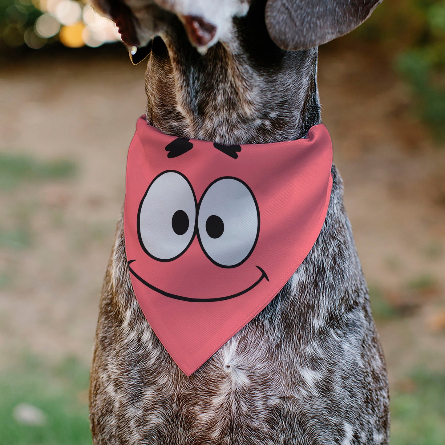 Pet Bandana - SpongeBob SquarePants Patrick Star Face Close-Up Pink