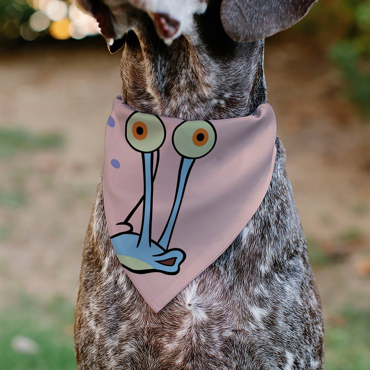 Pet Bandana - SpongeBob SquarePants Gary the Snail Face Close-Up Pink