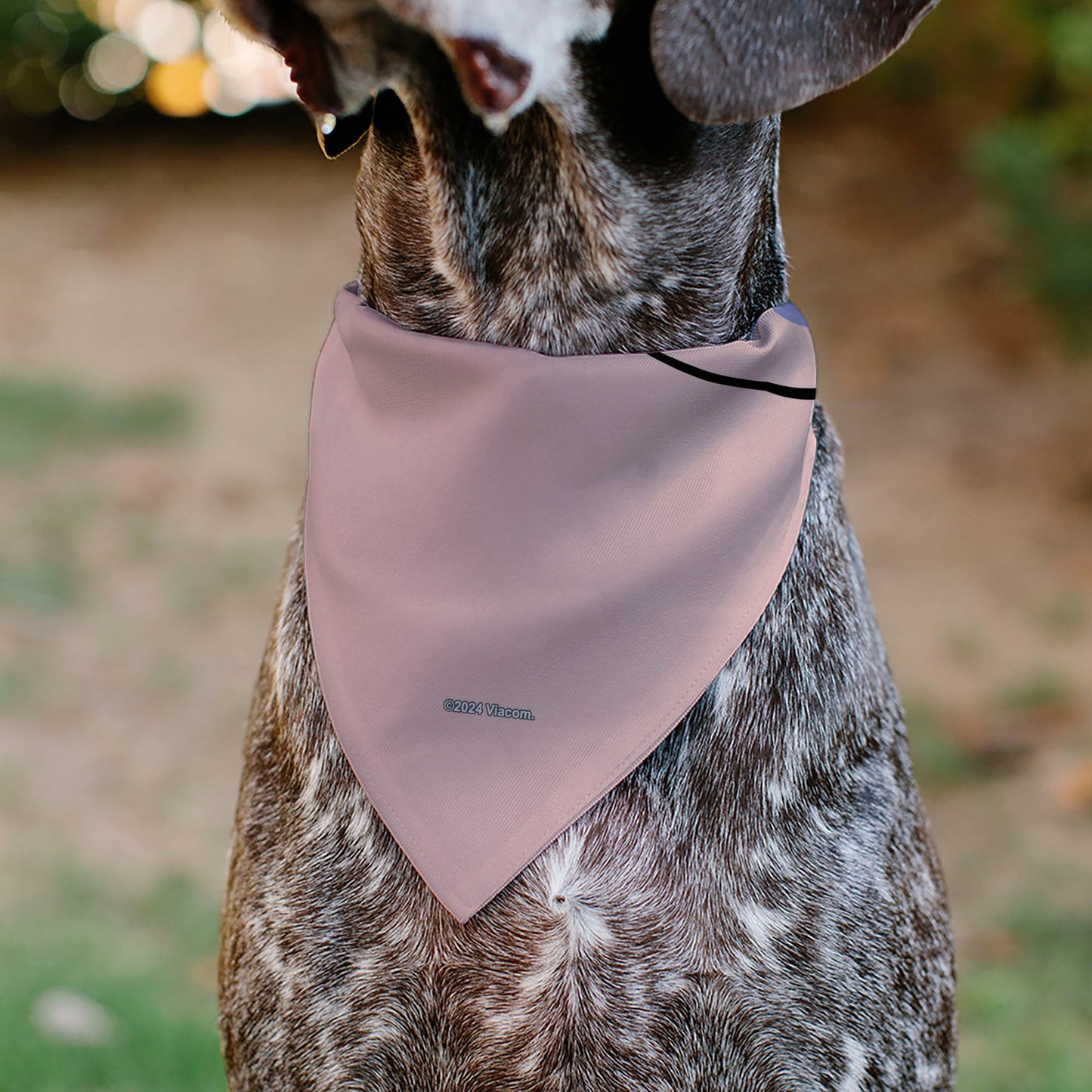 Pet Bandana - SpongeBob SquarePants Gary the Snail Face Close-Up Pink