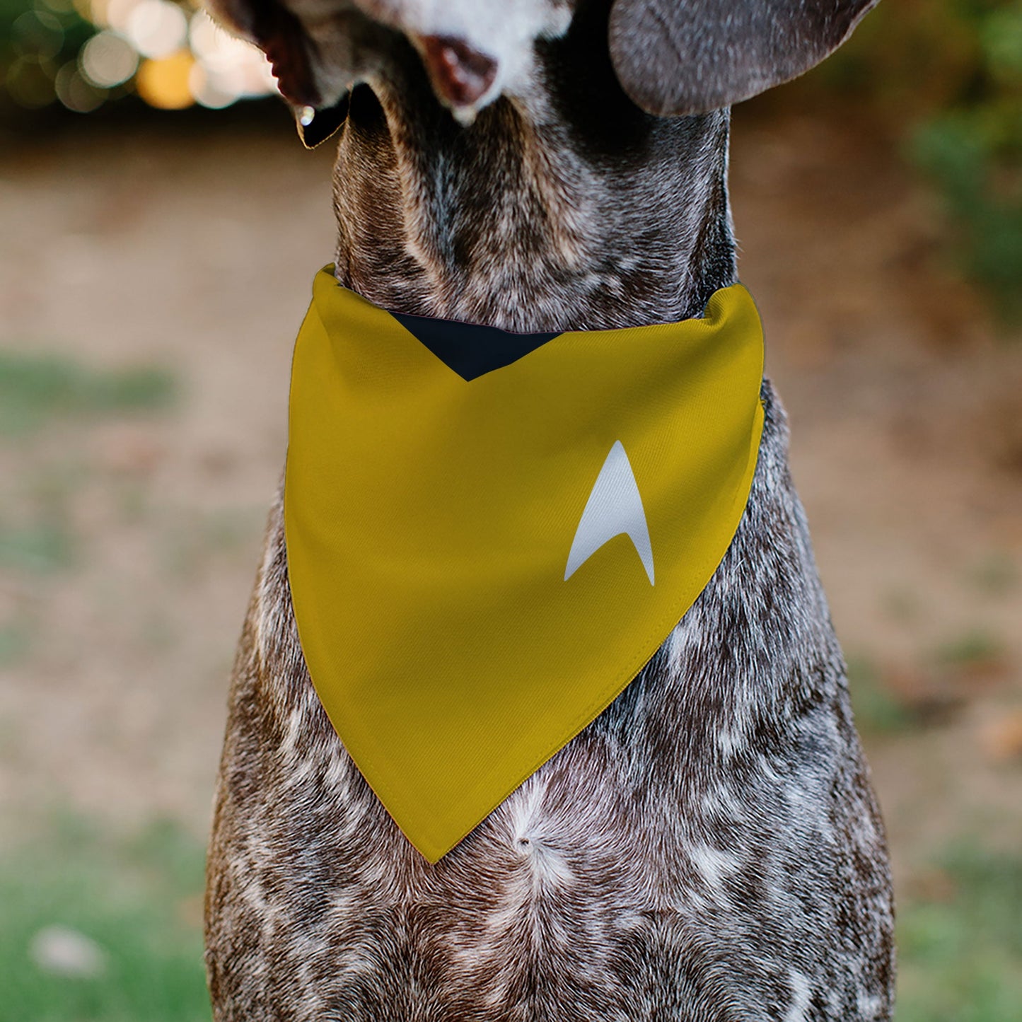 Pet Bandana - Star Trek Original Series Golden Yellow Uniform Print