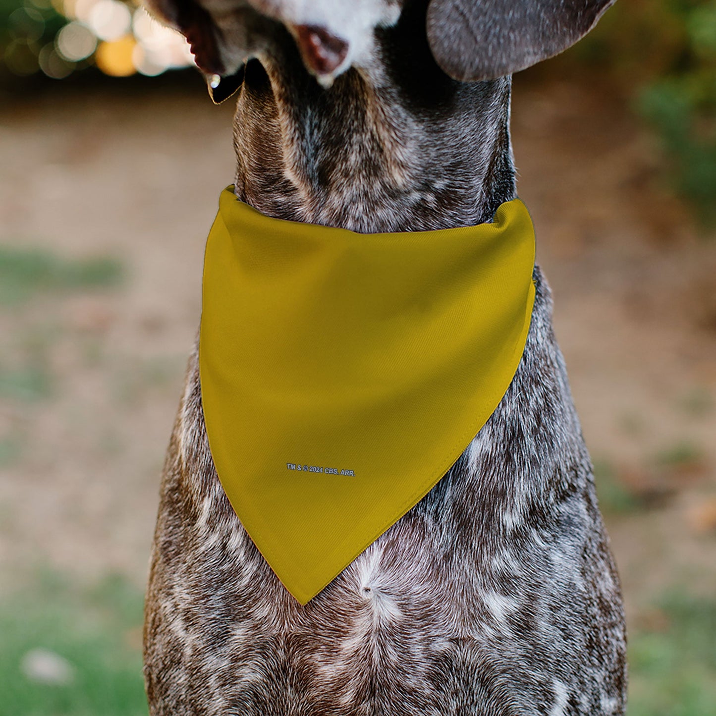 Pet Bandana - Star Trek Original Series Golden Yellow Uniform Print