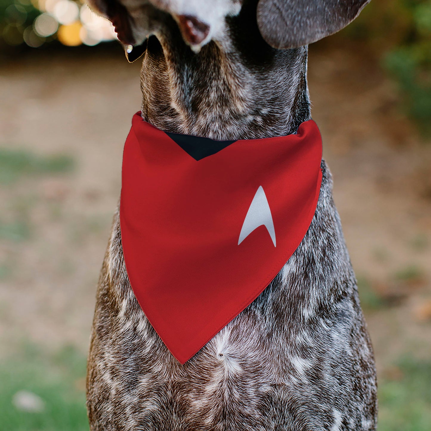 Pet Bandana - Star Trek Original Series Red Uniform Print