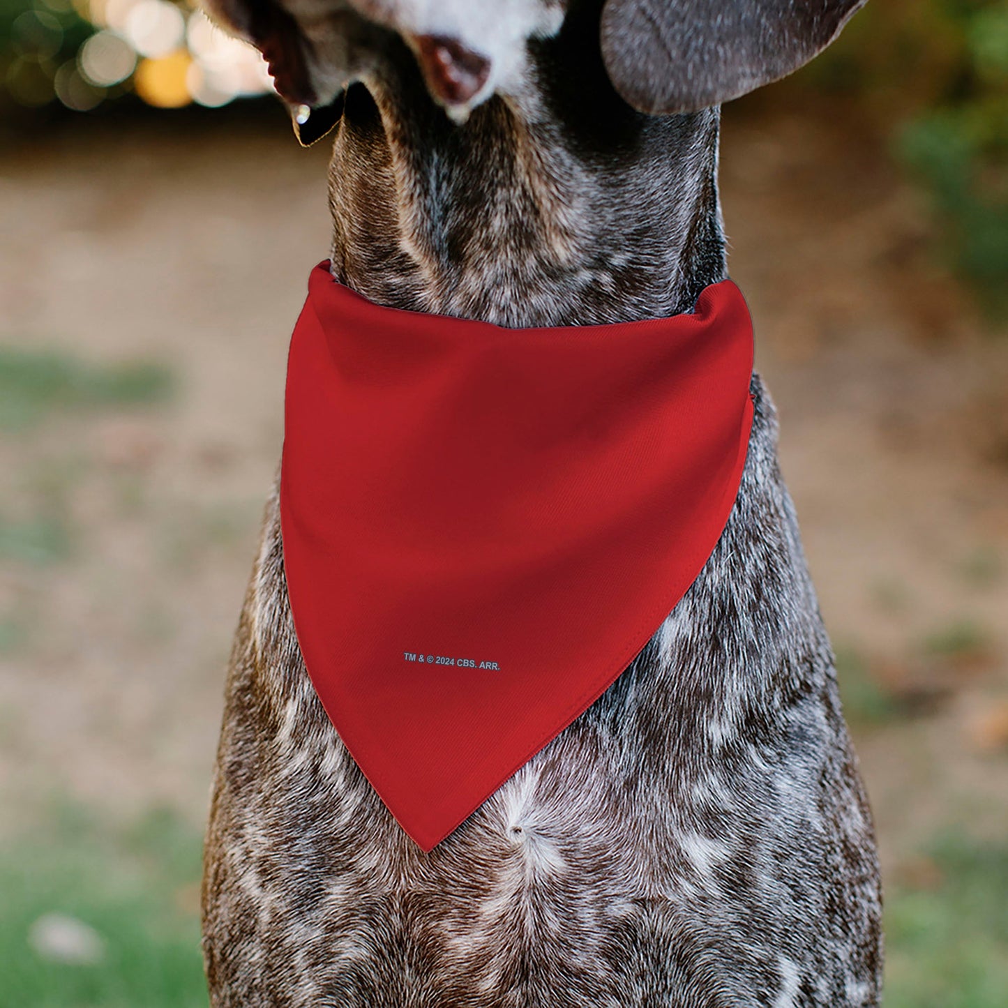 Pet Bandana - Star Trek Original Series Red Uniform Print