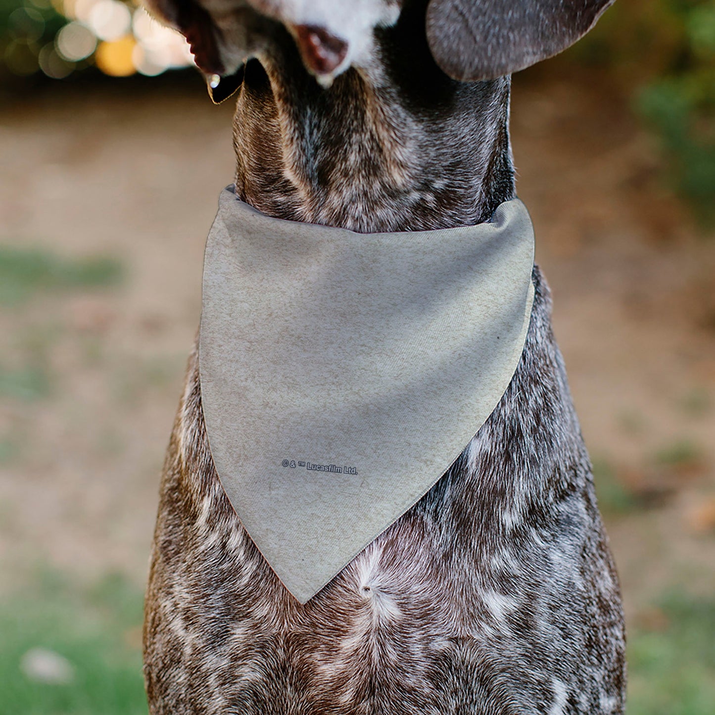 Pet Bandana - Star Wars The Madalorian Impression Painting Beige